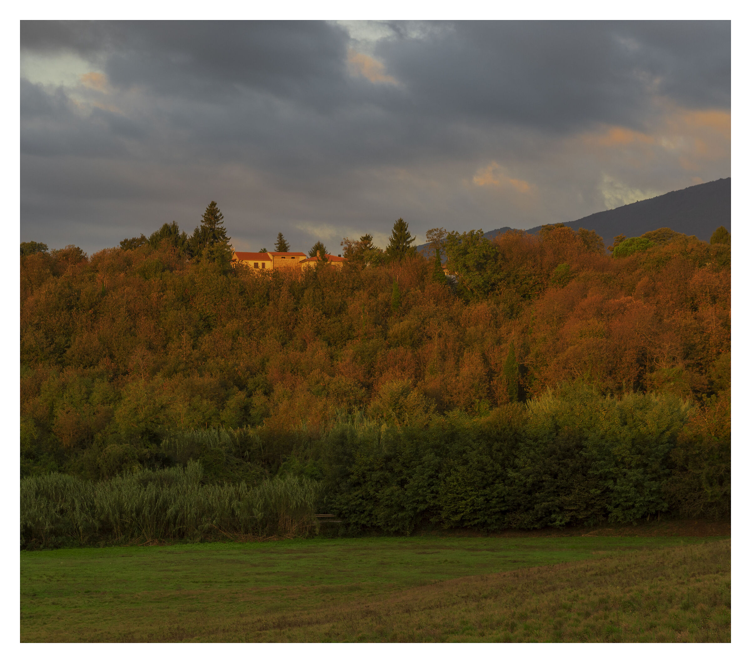 The house above the forest