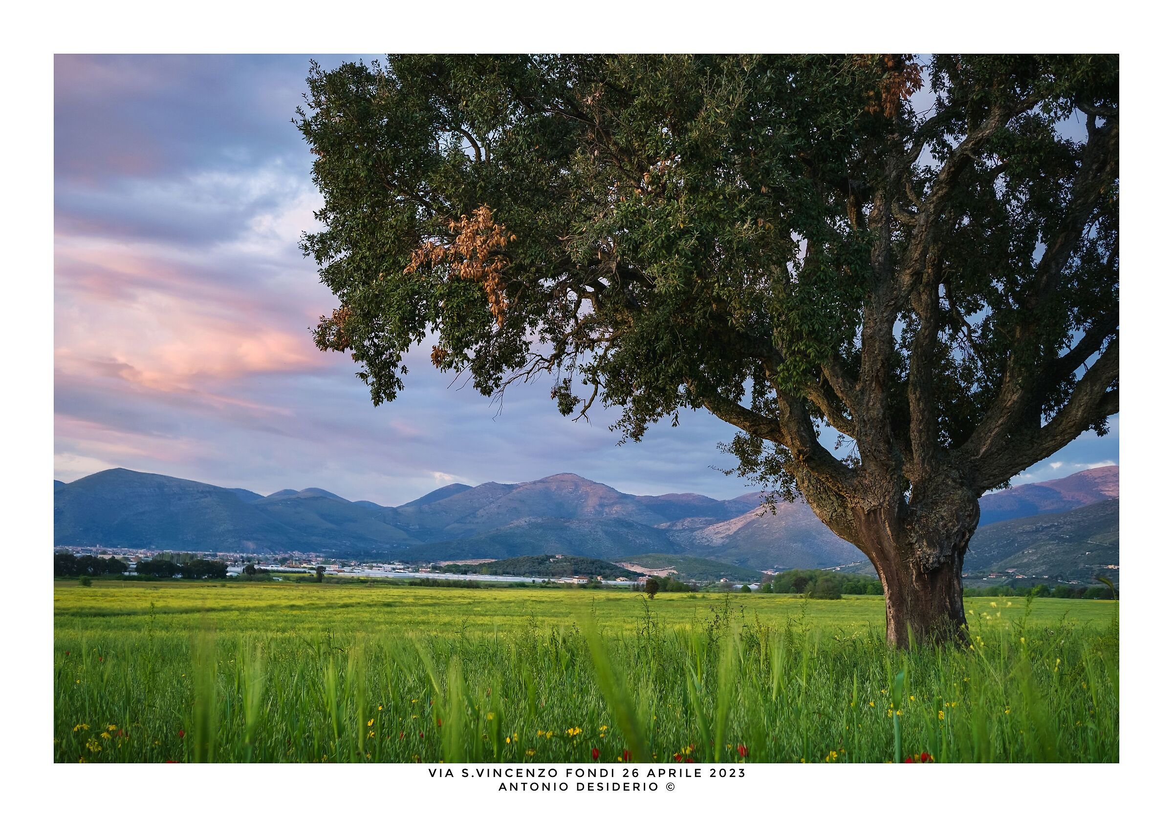 Towards the blue hour