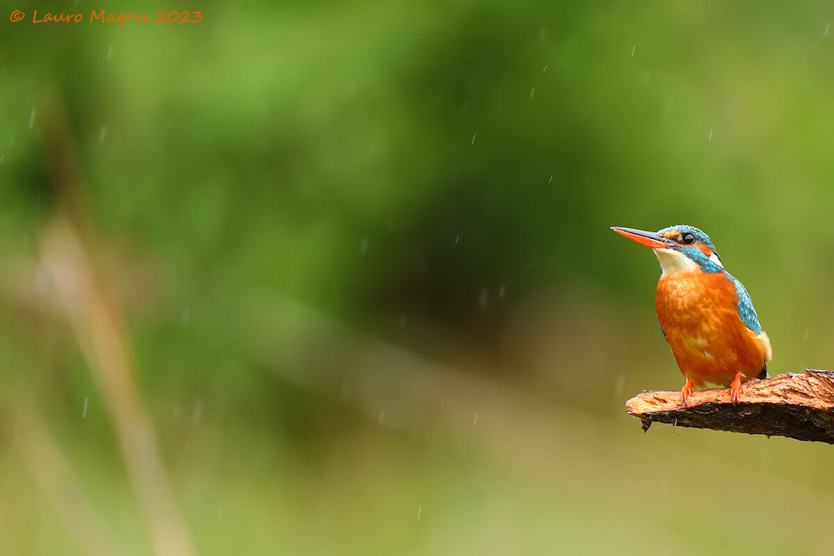 Uno sguardo al cielo