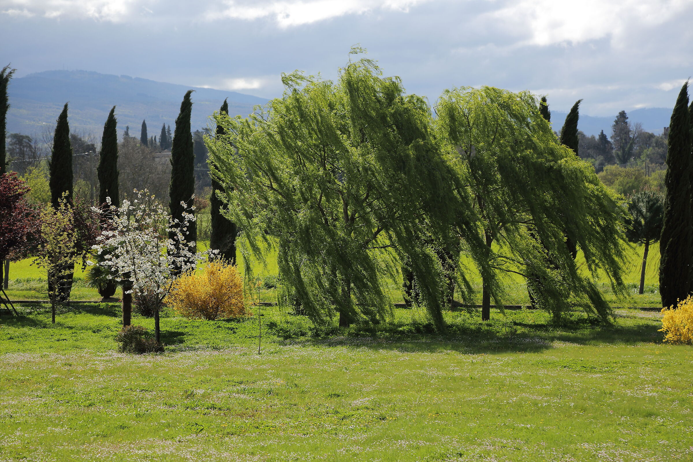 La carezza del vento