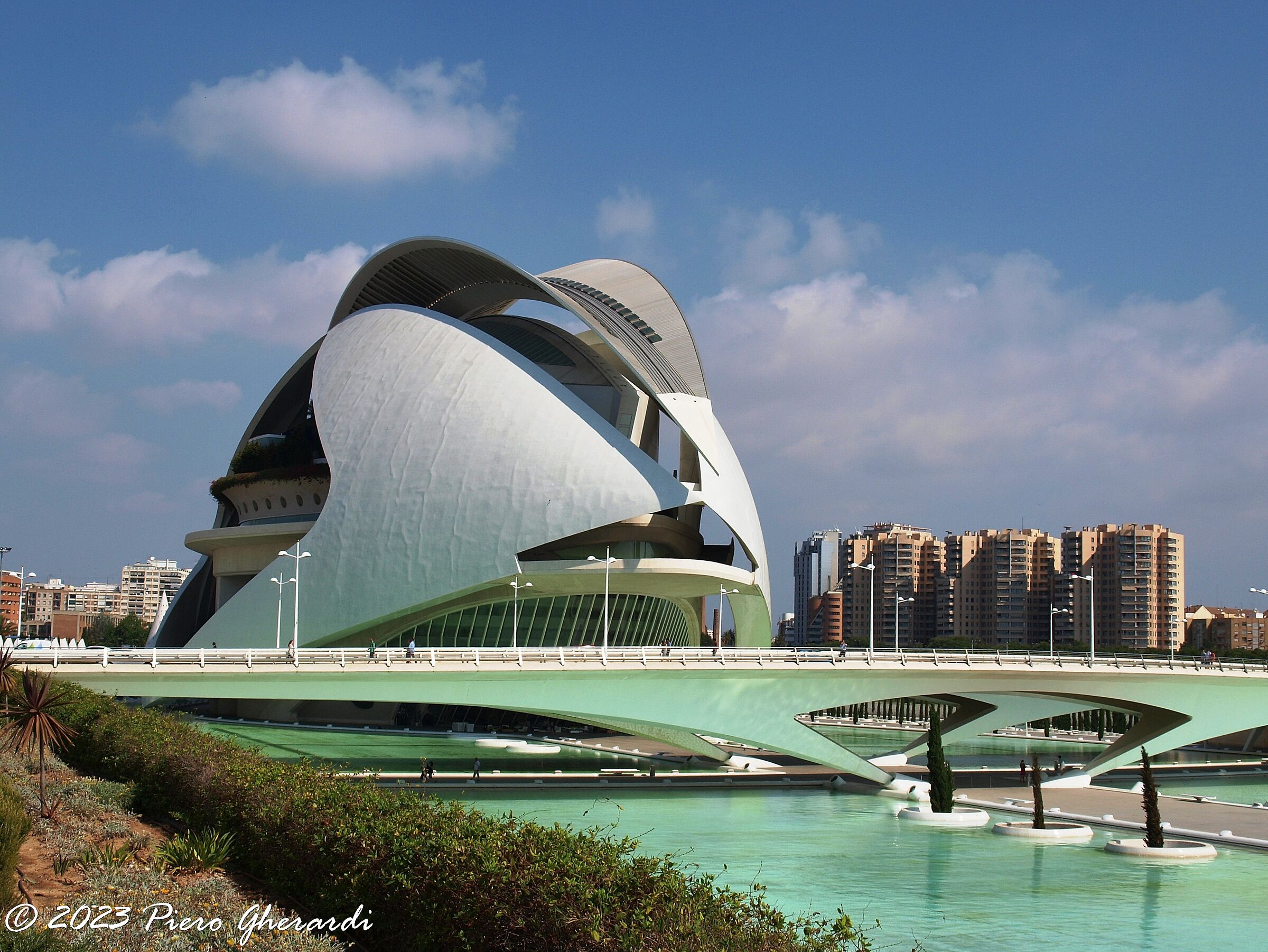 Viaggi