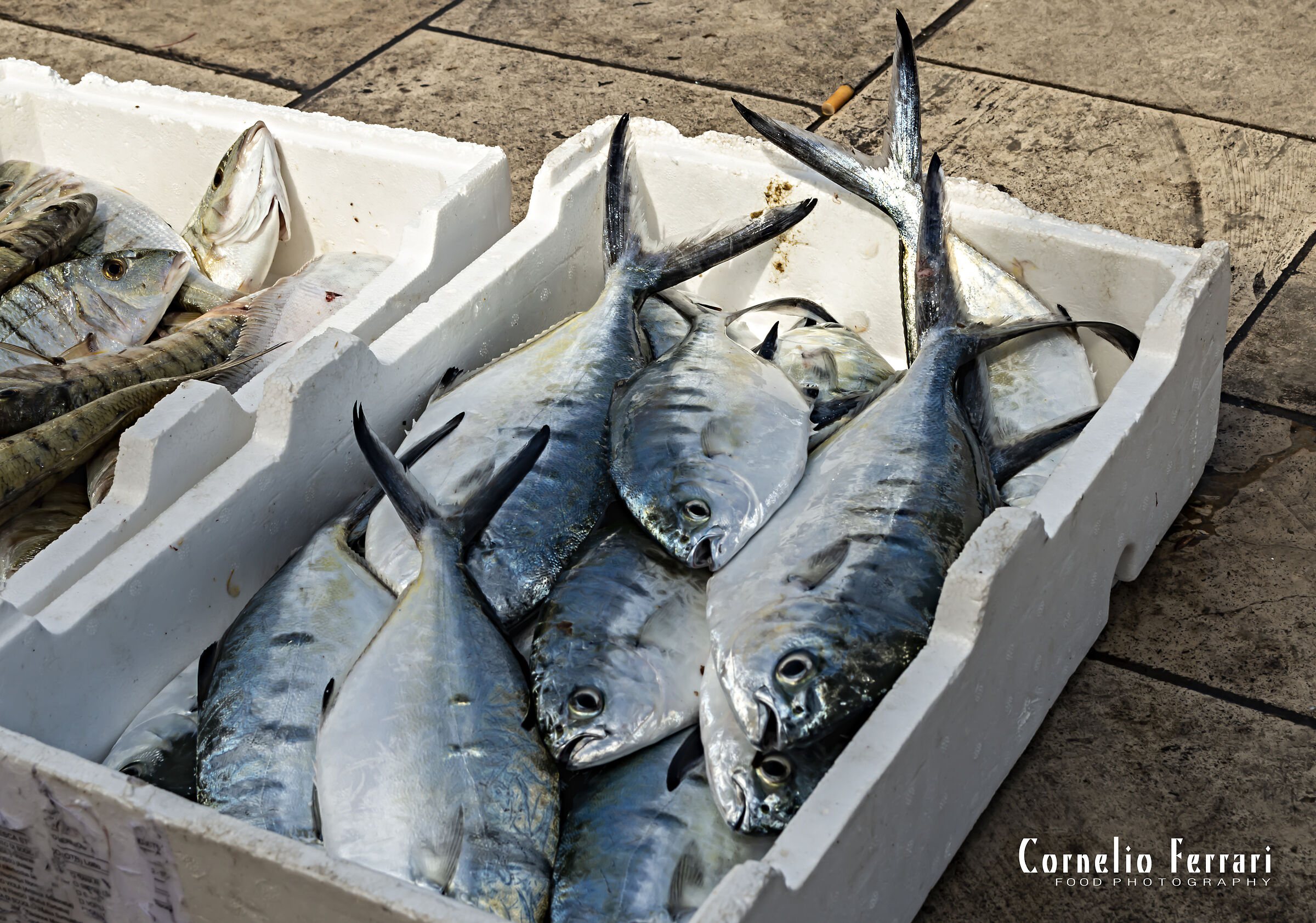 cassetta pesce leccia stella al mercato