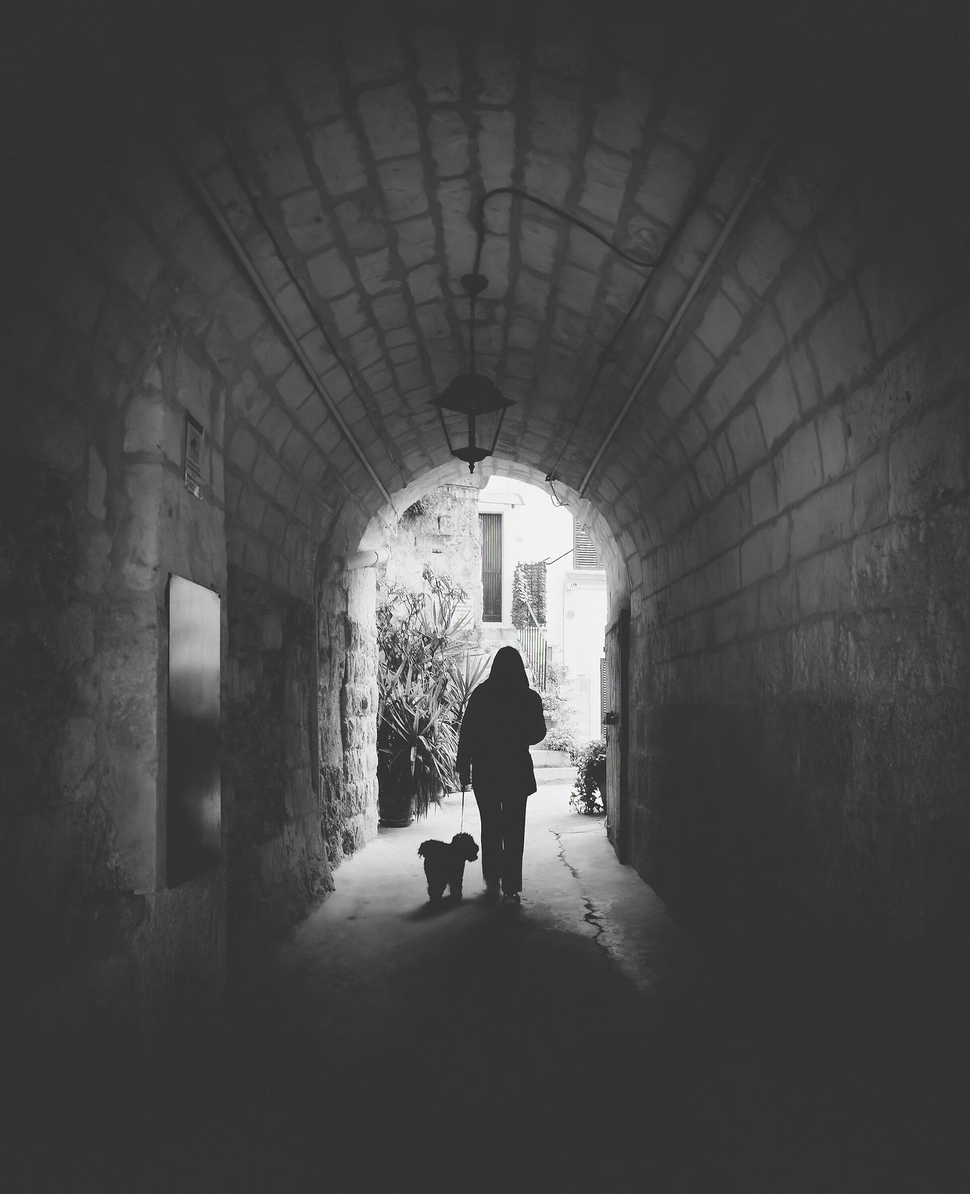 Donna con cagnolino 2