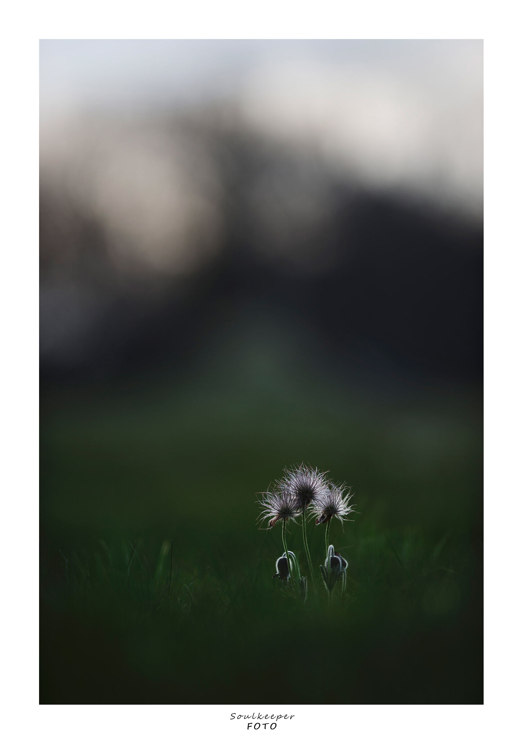 Death and rebirth.