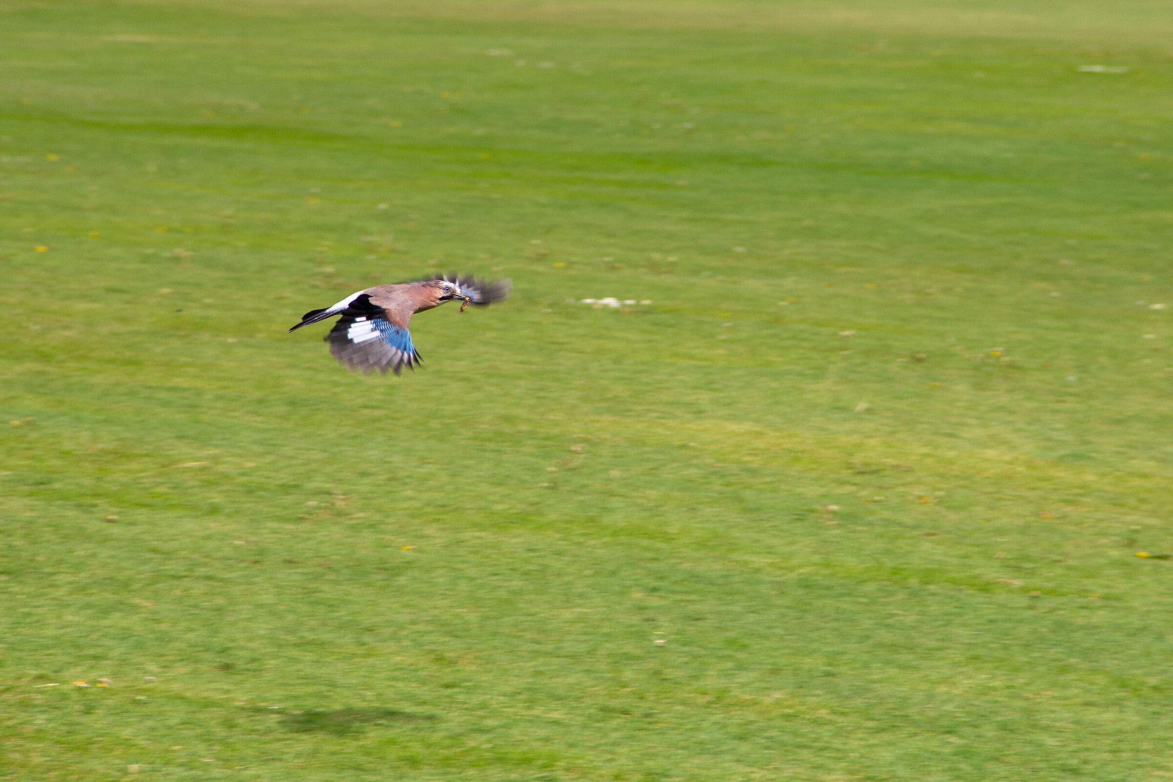 on the fly!