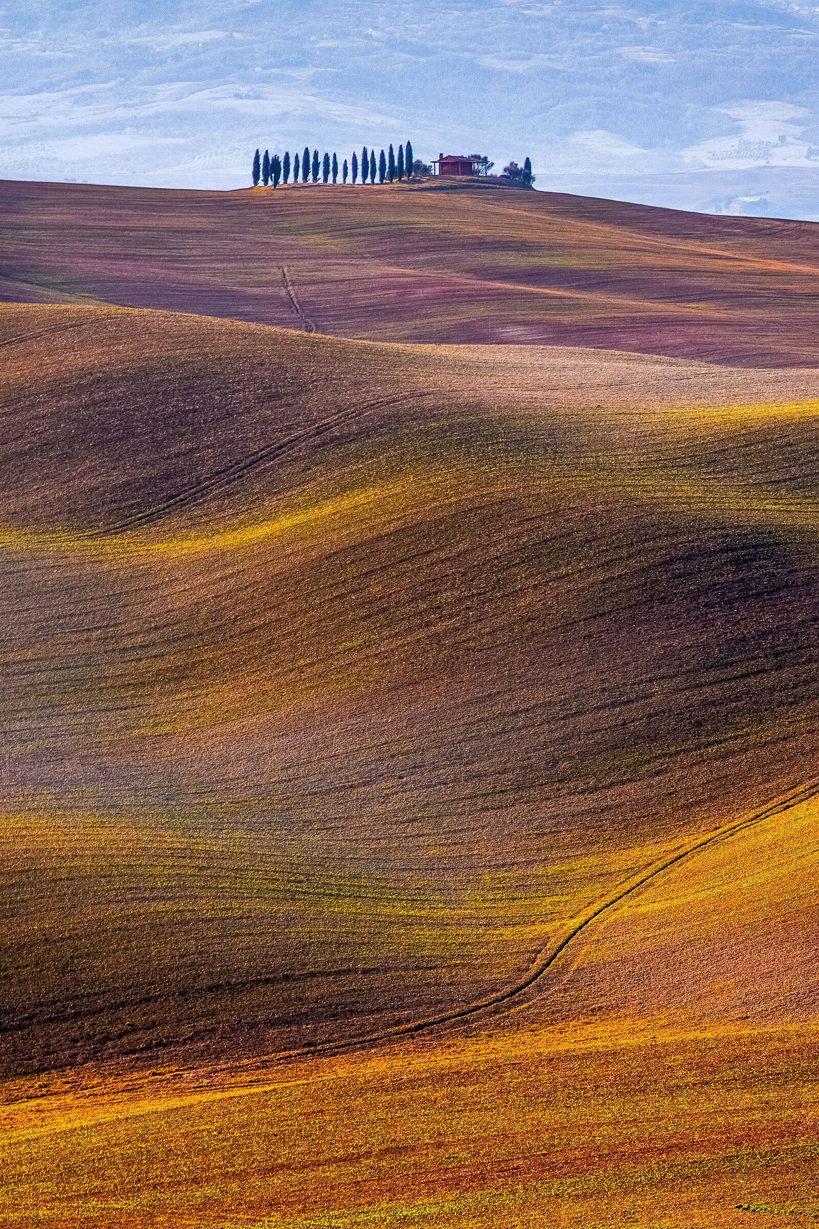 Val D'Orcia vertically