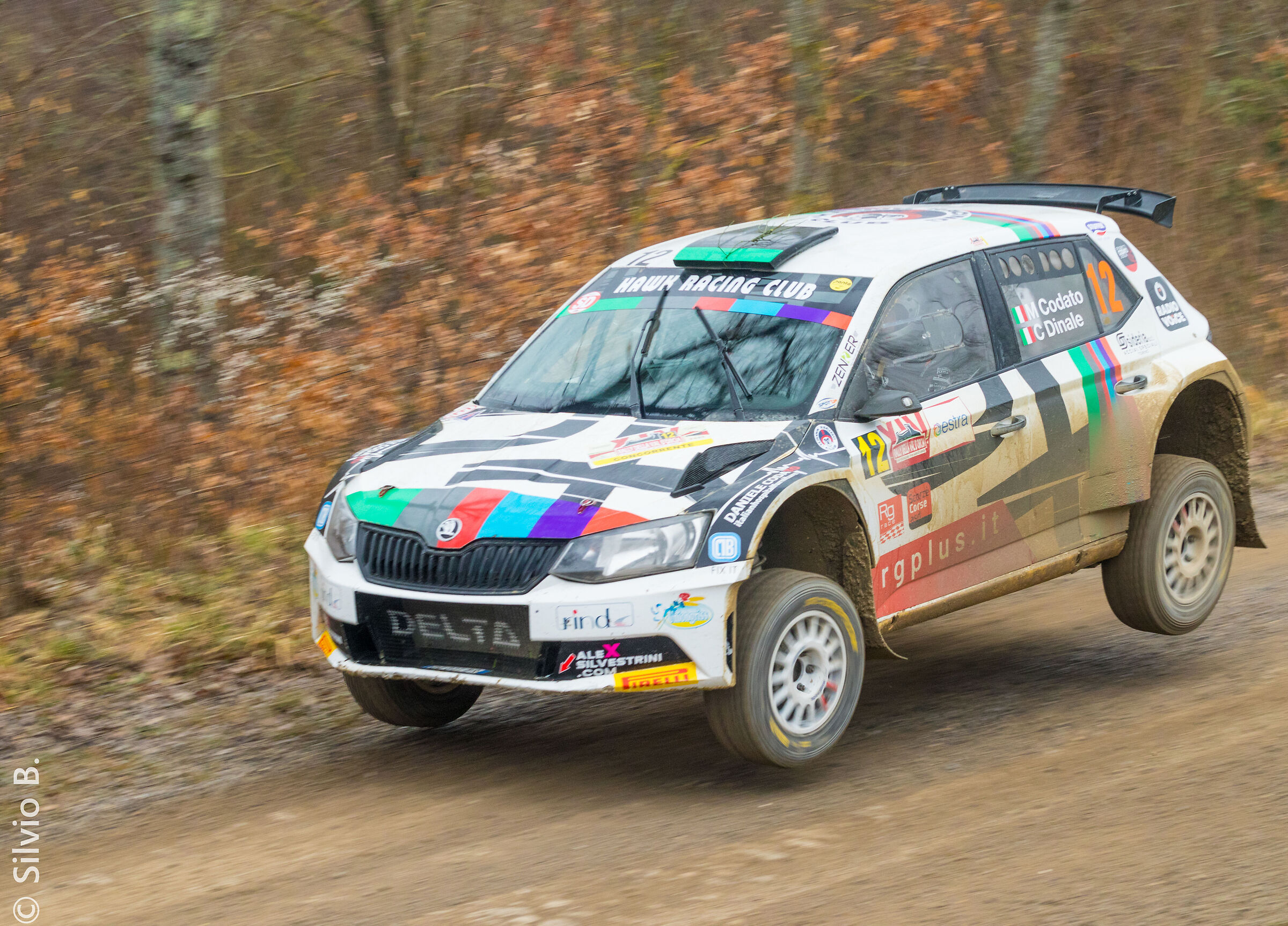 Codato-Dinale/S Fabia (volante)