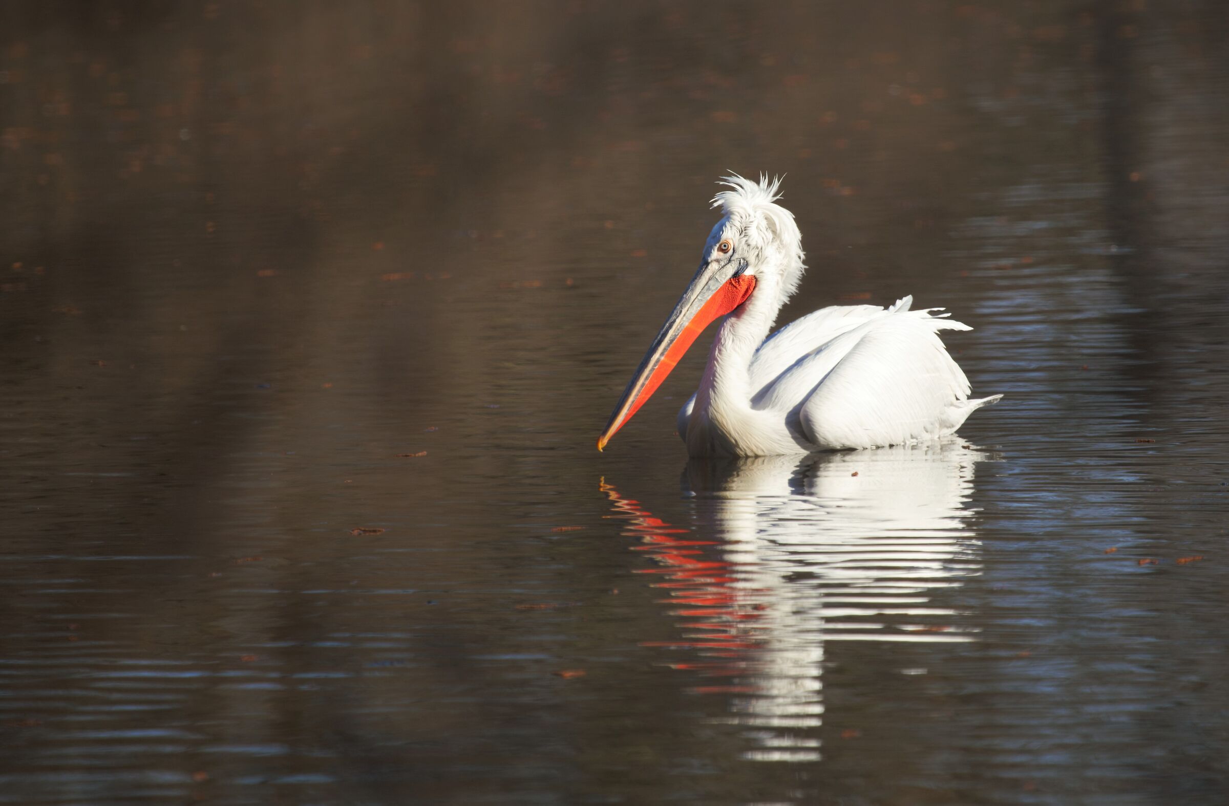 quel che resta del giorno
