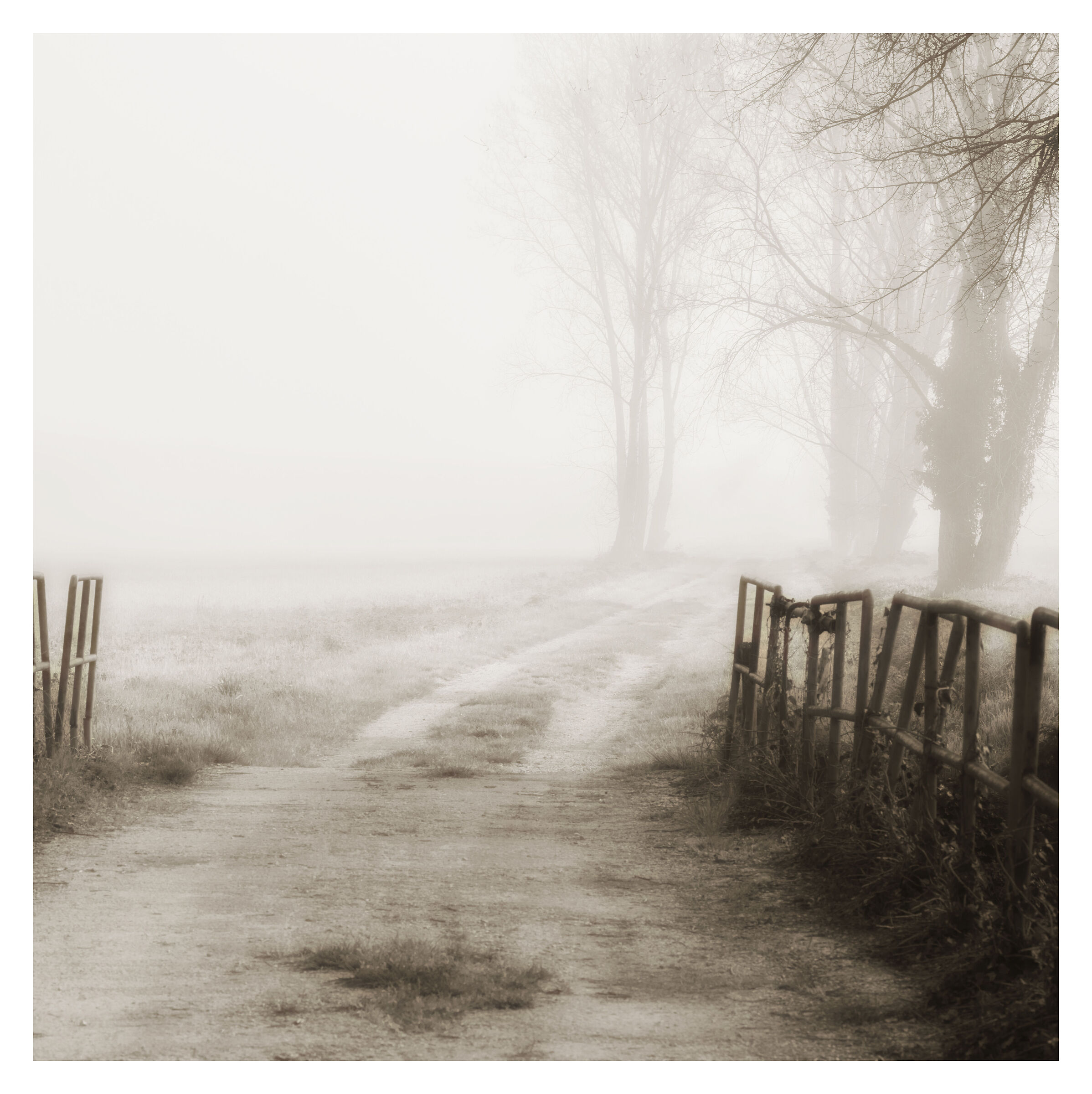 They told me to go straight.... Mah