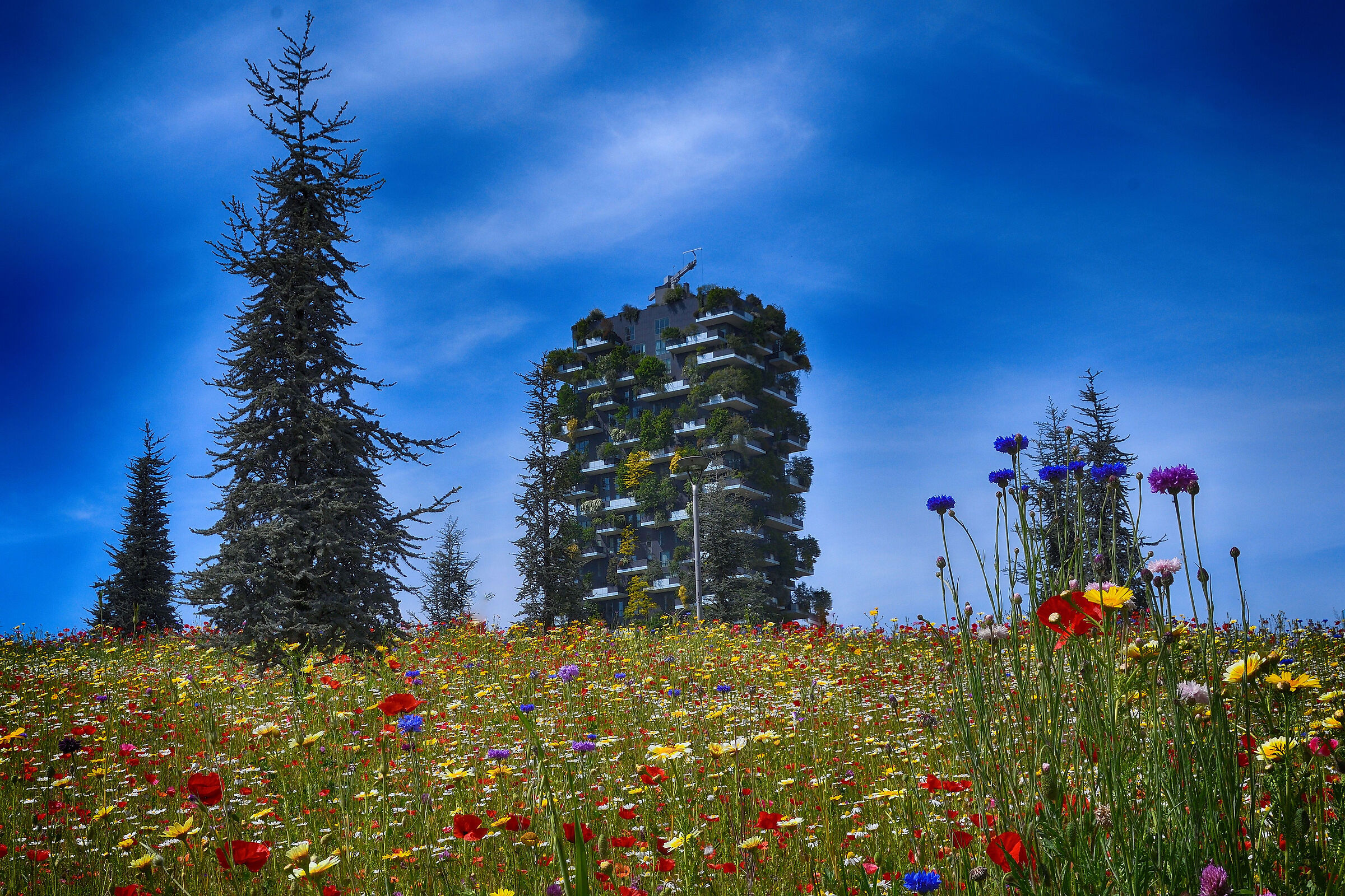 The Vertical Forest and the OriZZontale Garden