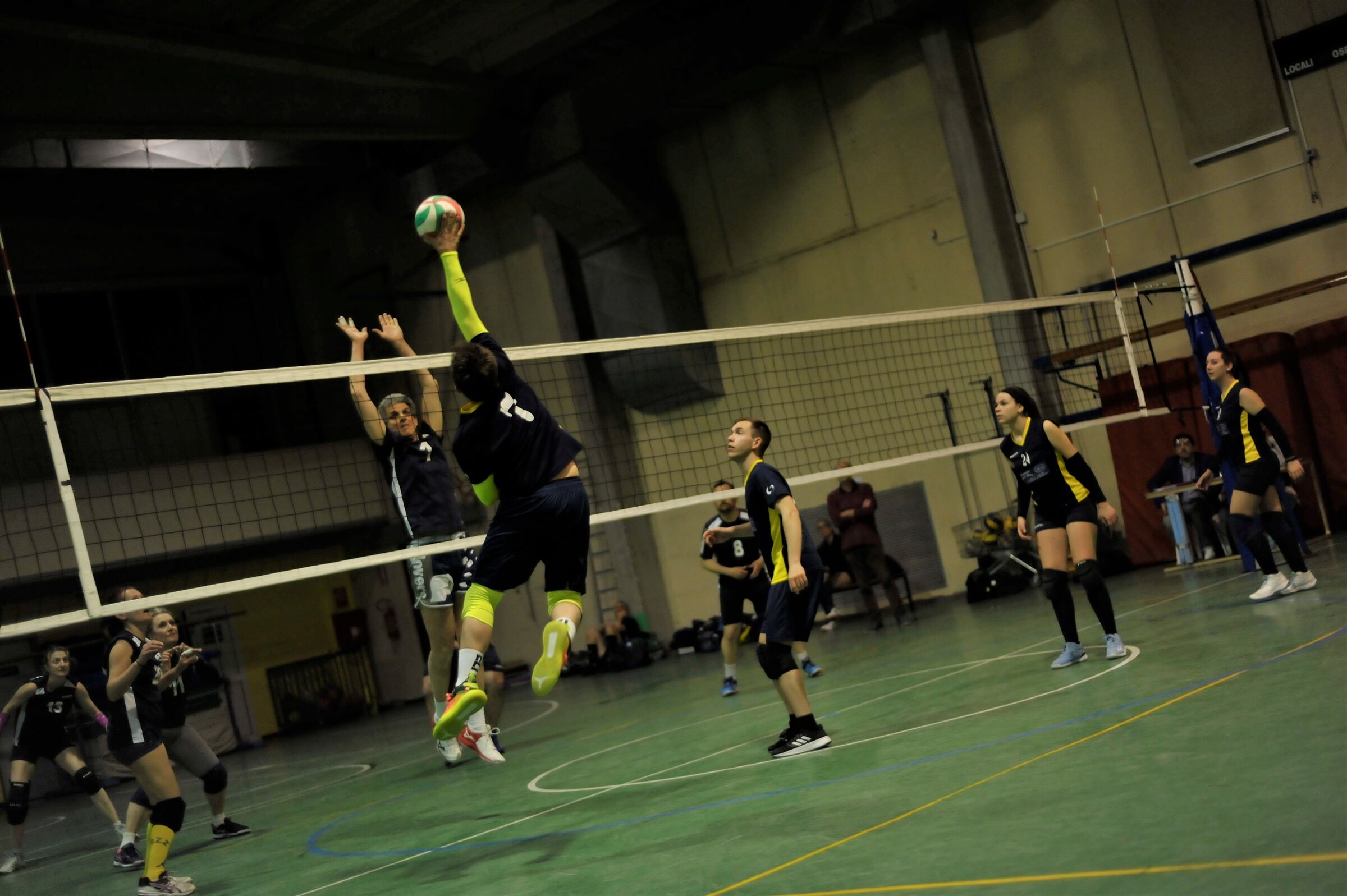 dorca volley