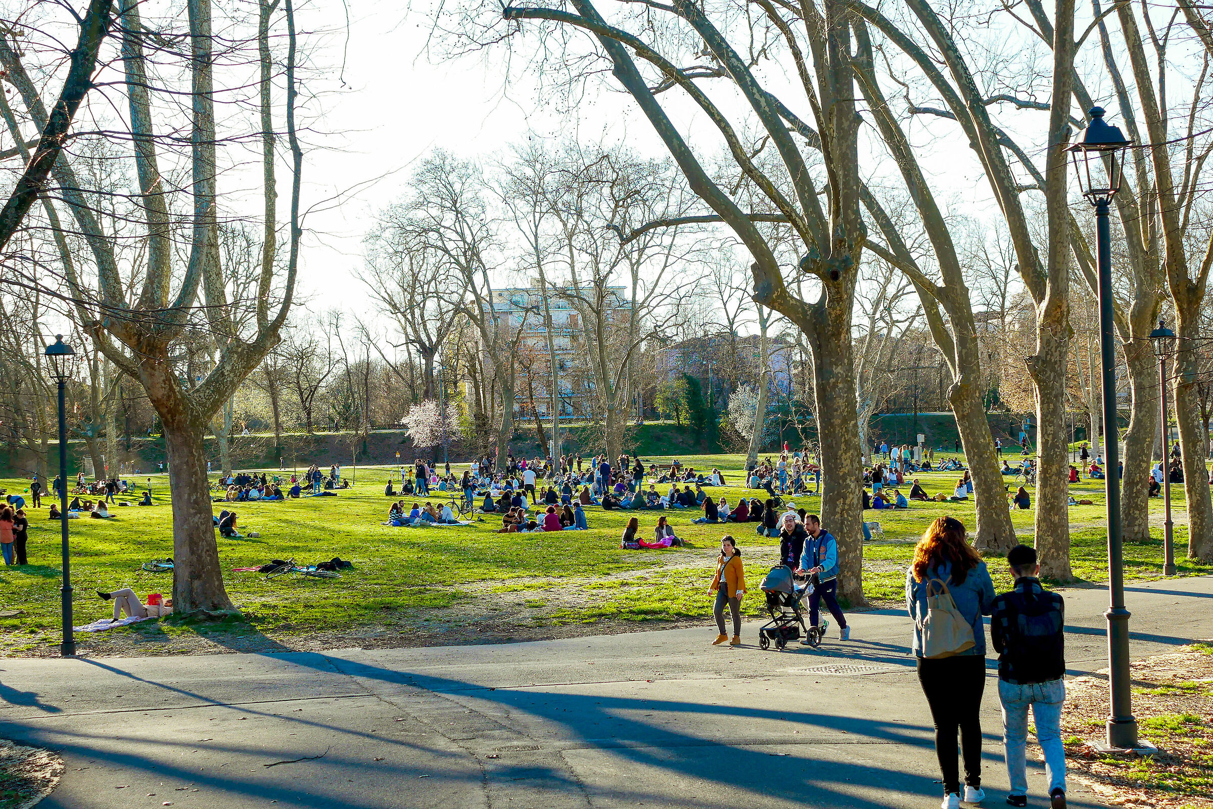Spring Sunday at the city park