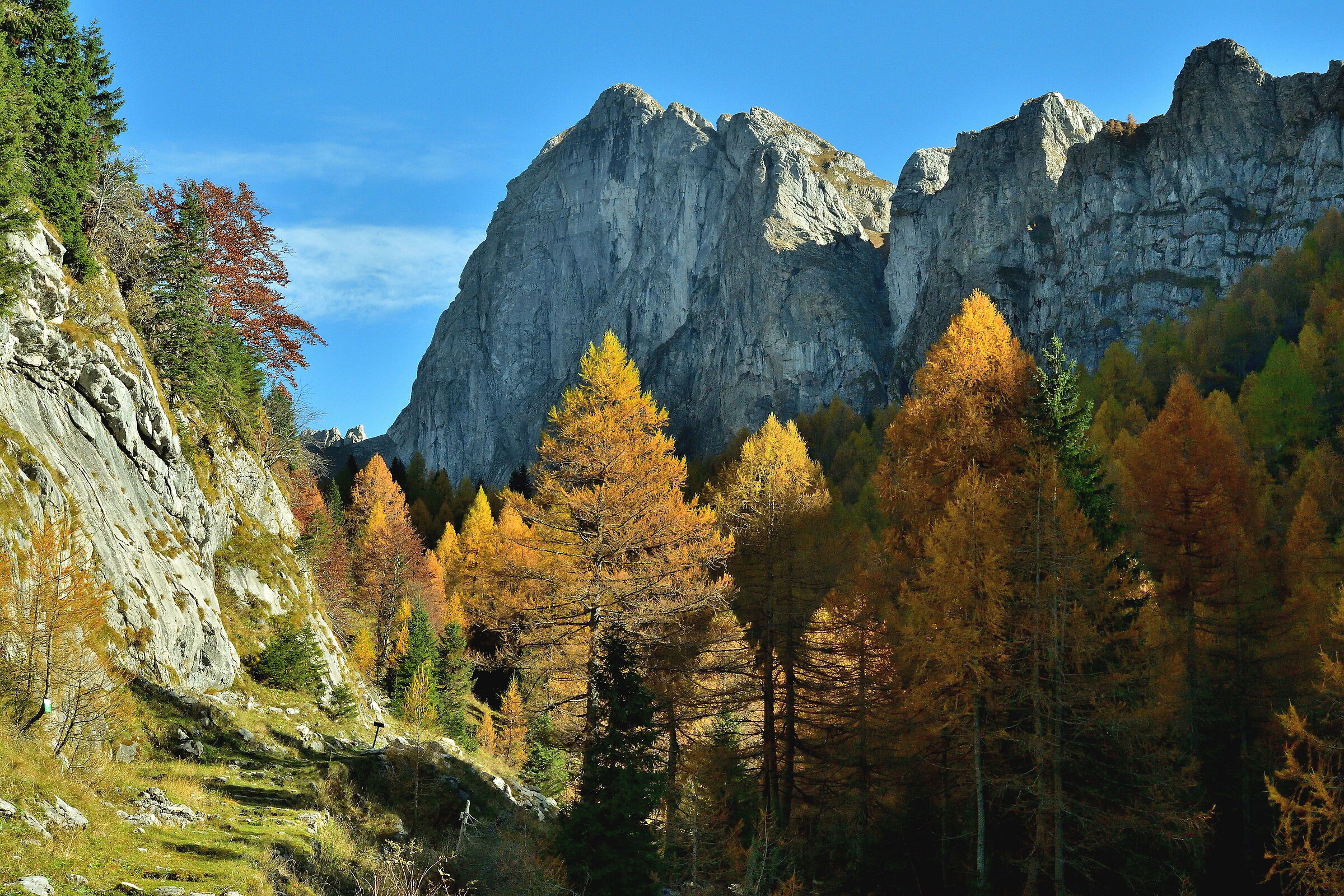 Carnic Alps