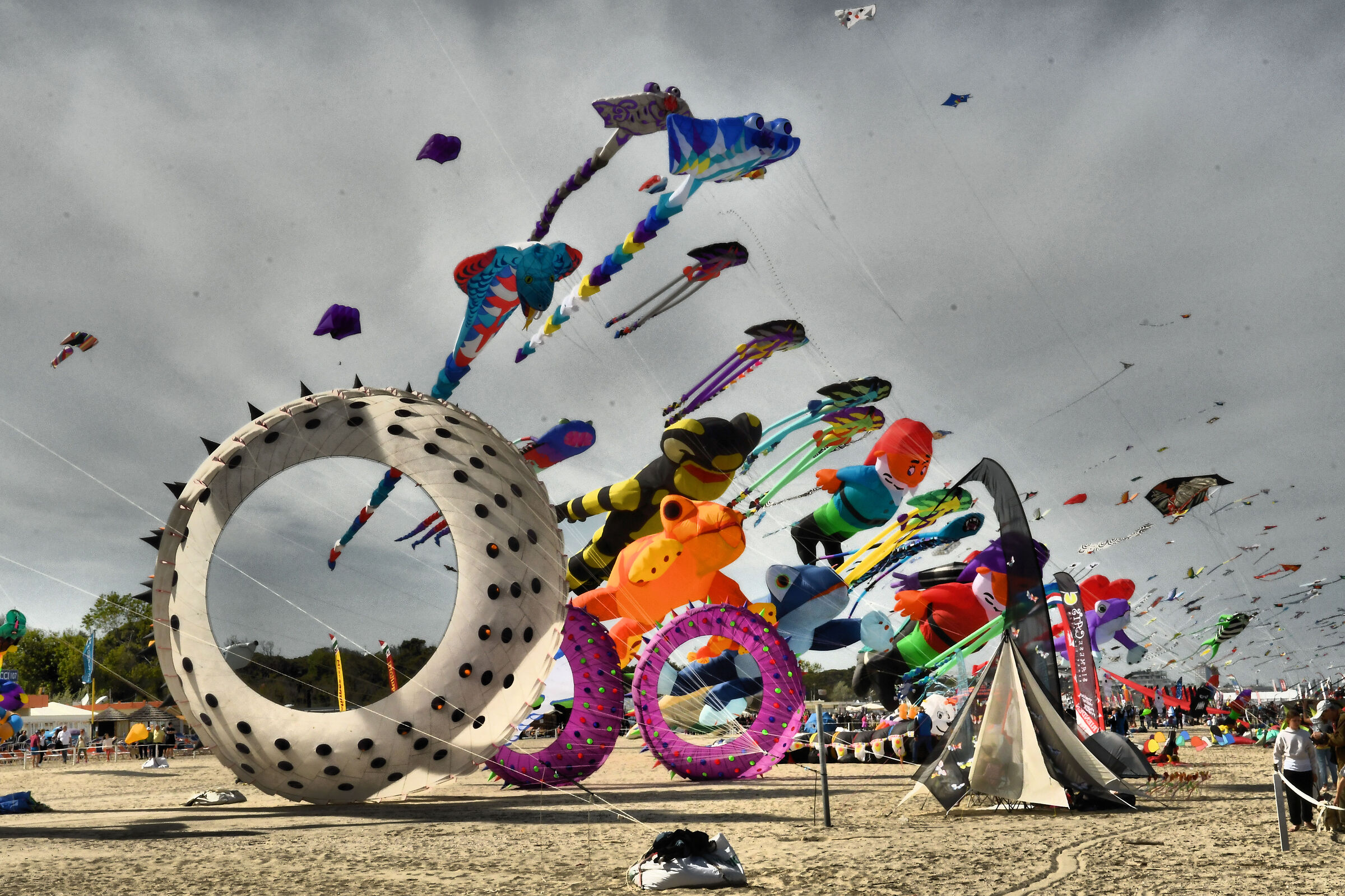 KITES
