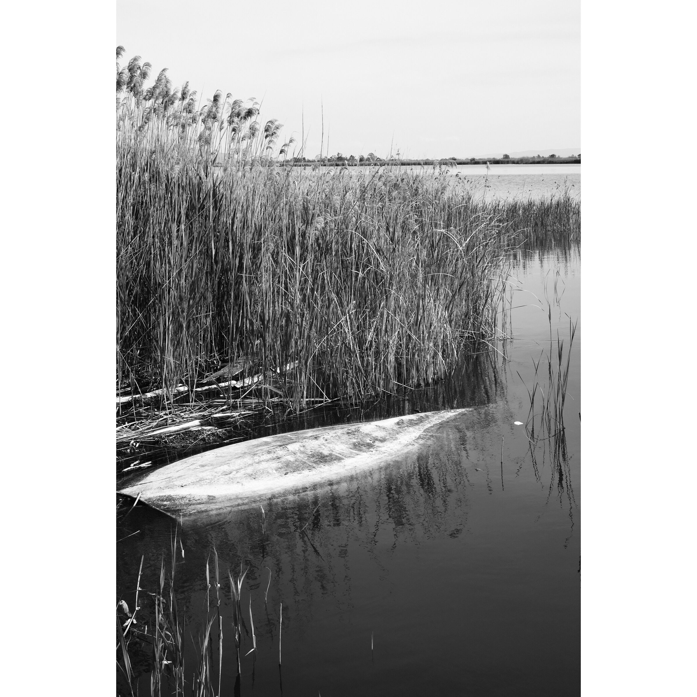Untitled Photo