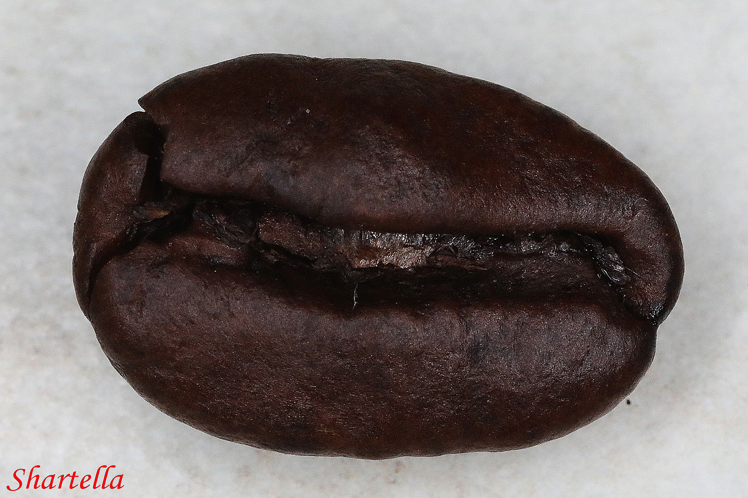 Coffee bean