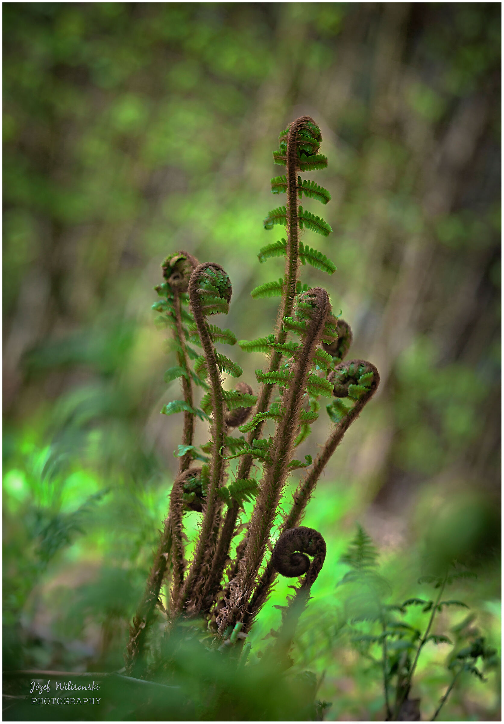 Russian lens j25u  4,5/110