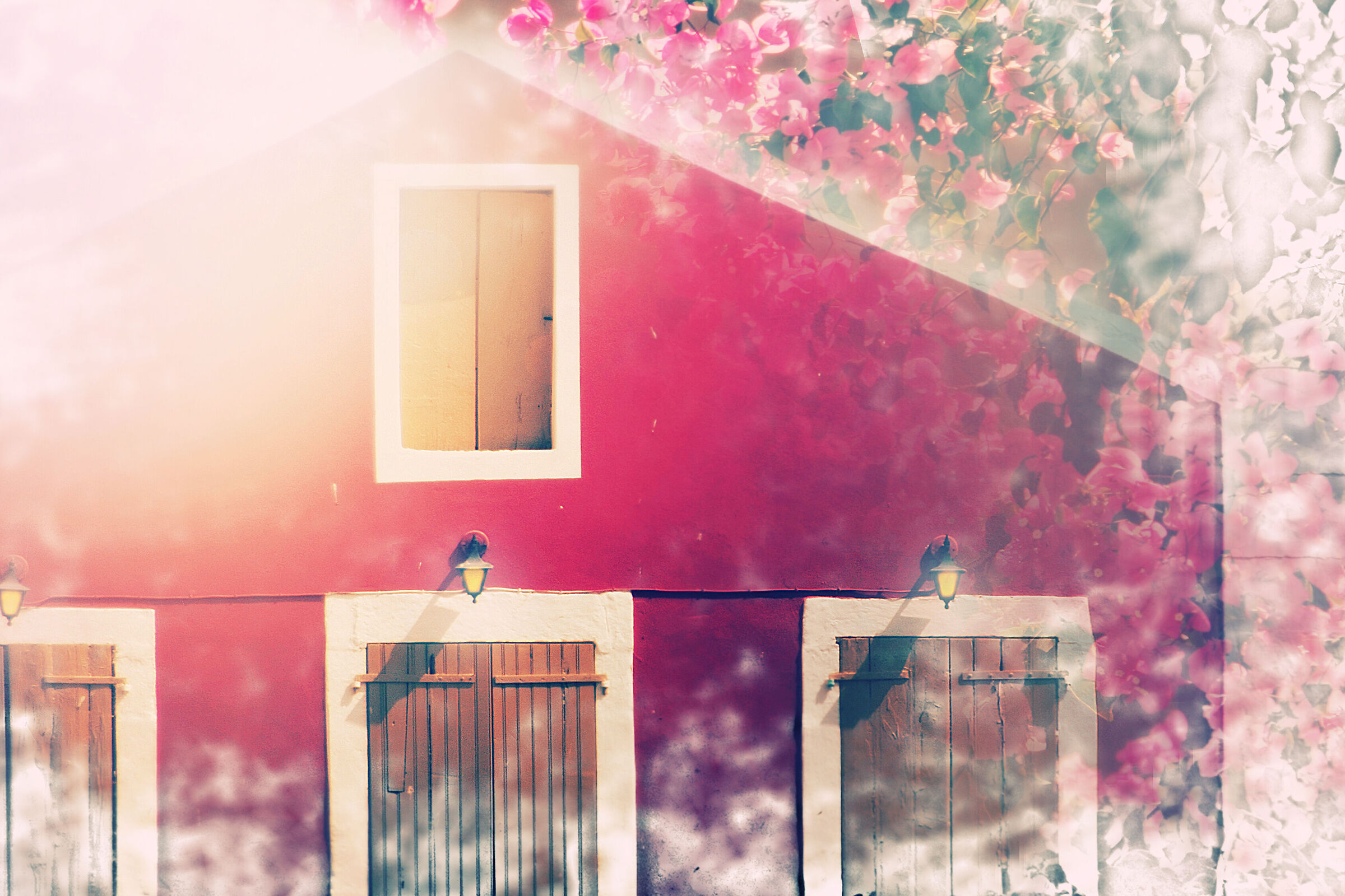 ~~ the house in spring ~~