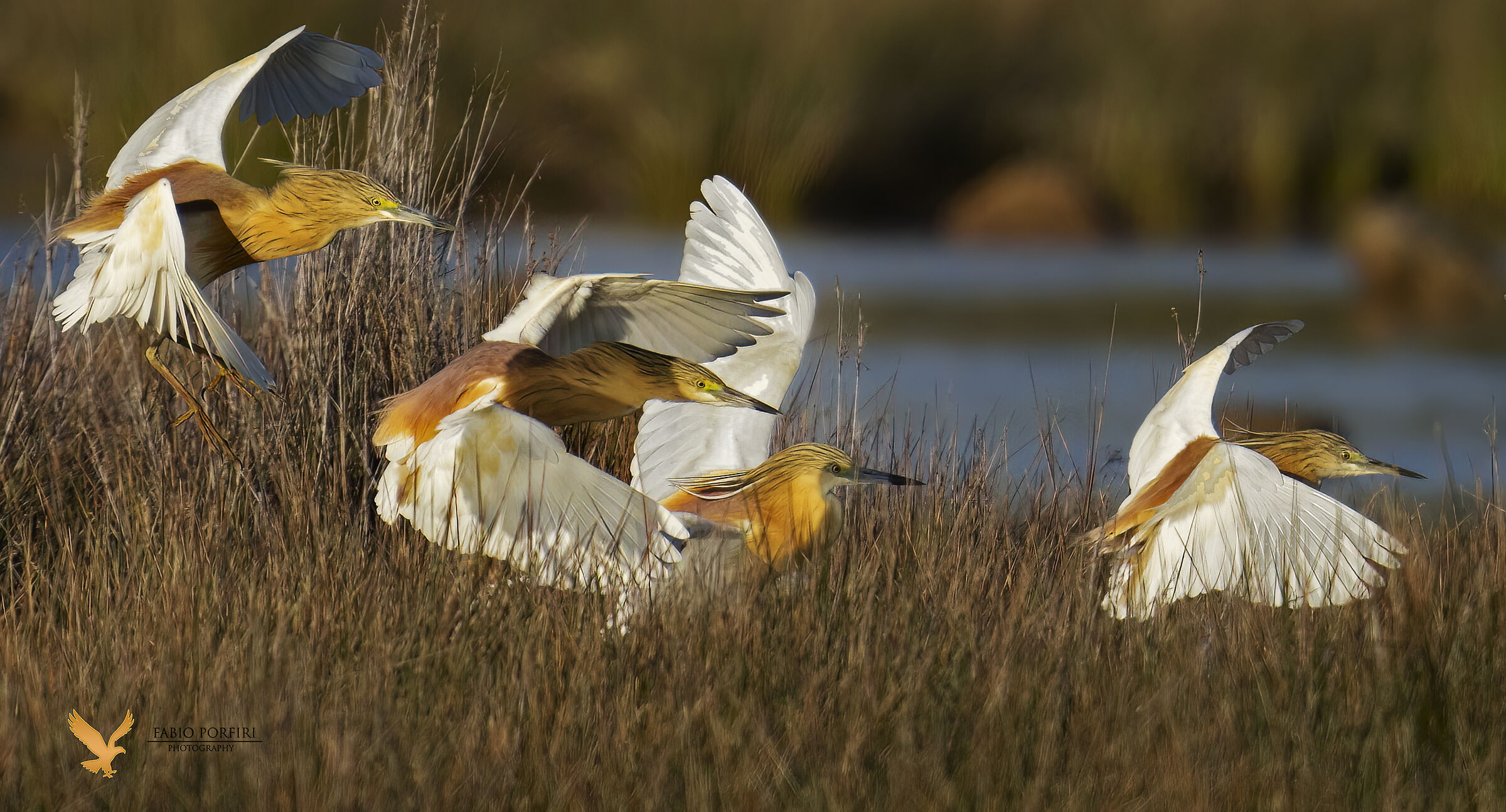 la sosta dopo il viaggio al tramonto