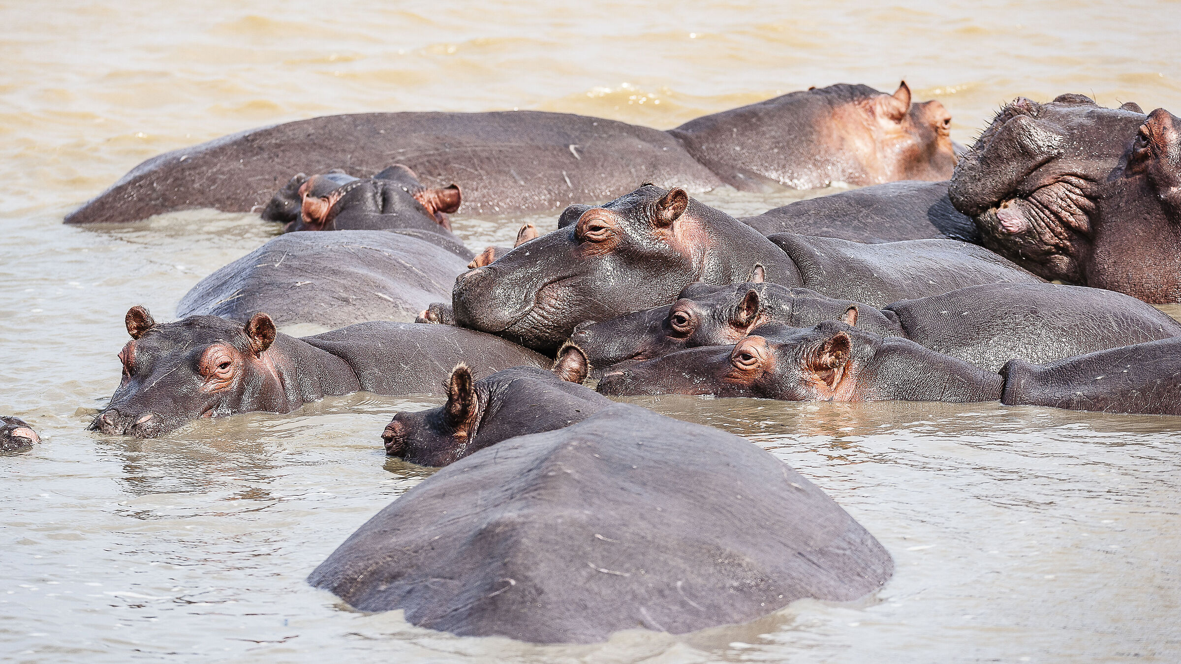 Riunione di famiglia