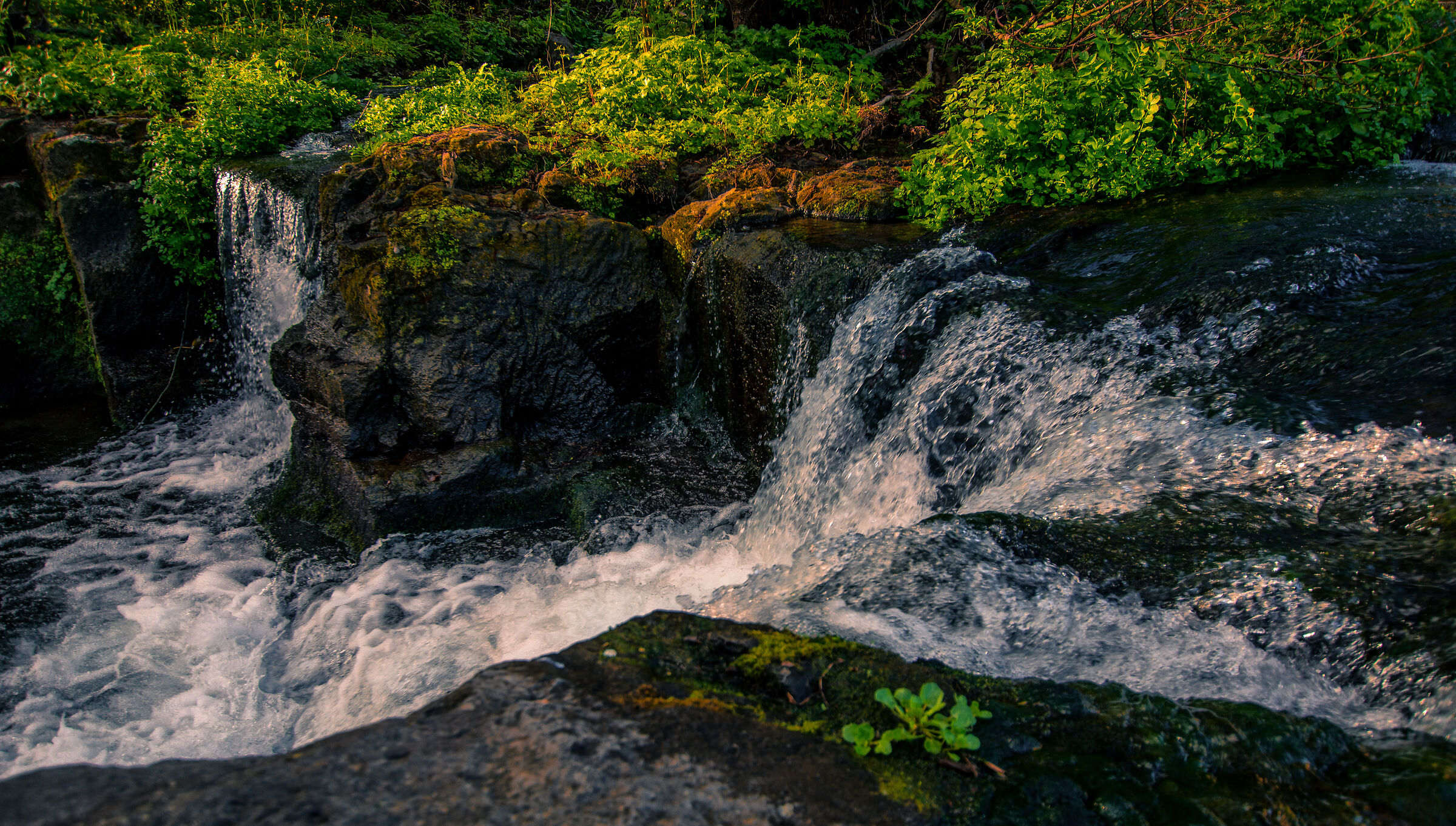 Monte Gelato Waterfalls