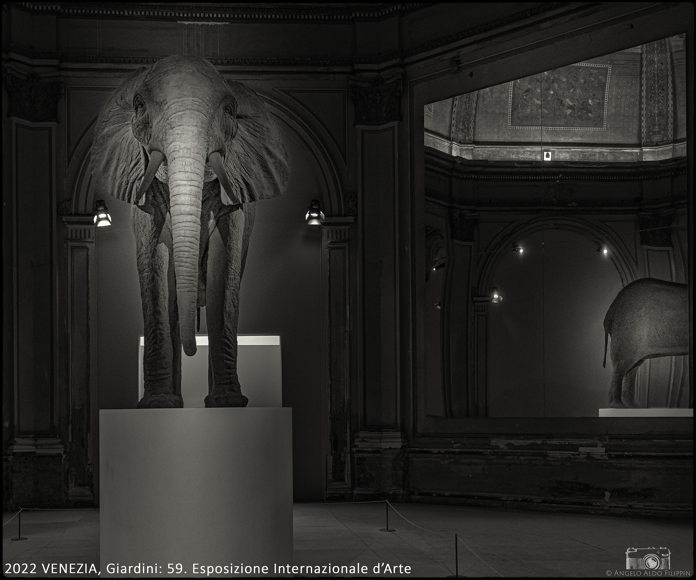 2022 VENICE, 59th Biennale Arte