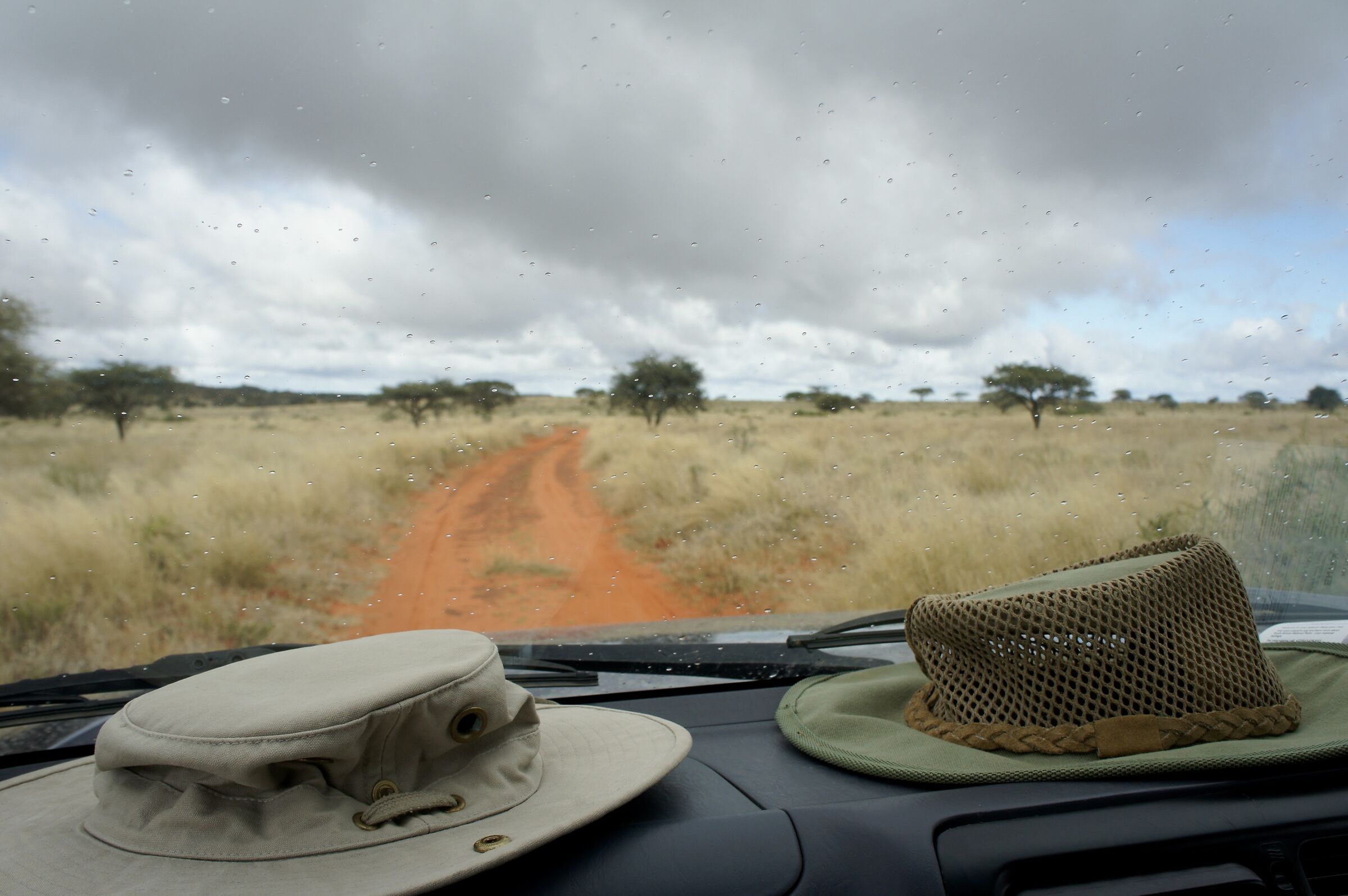 Qui comincia l'avventura…
