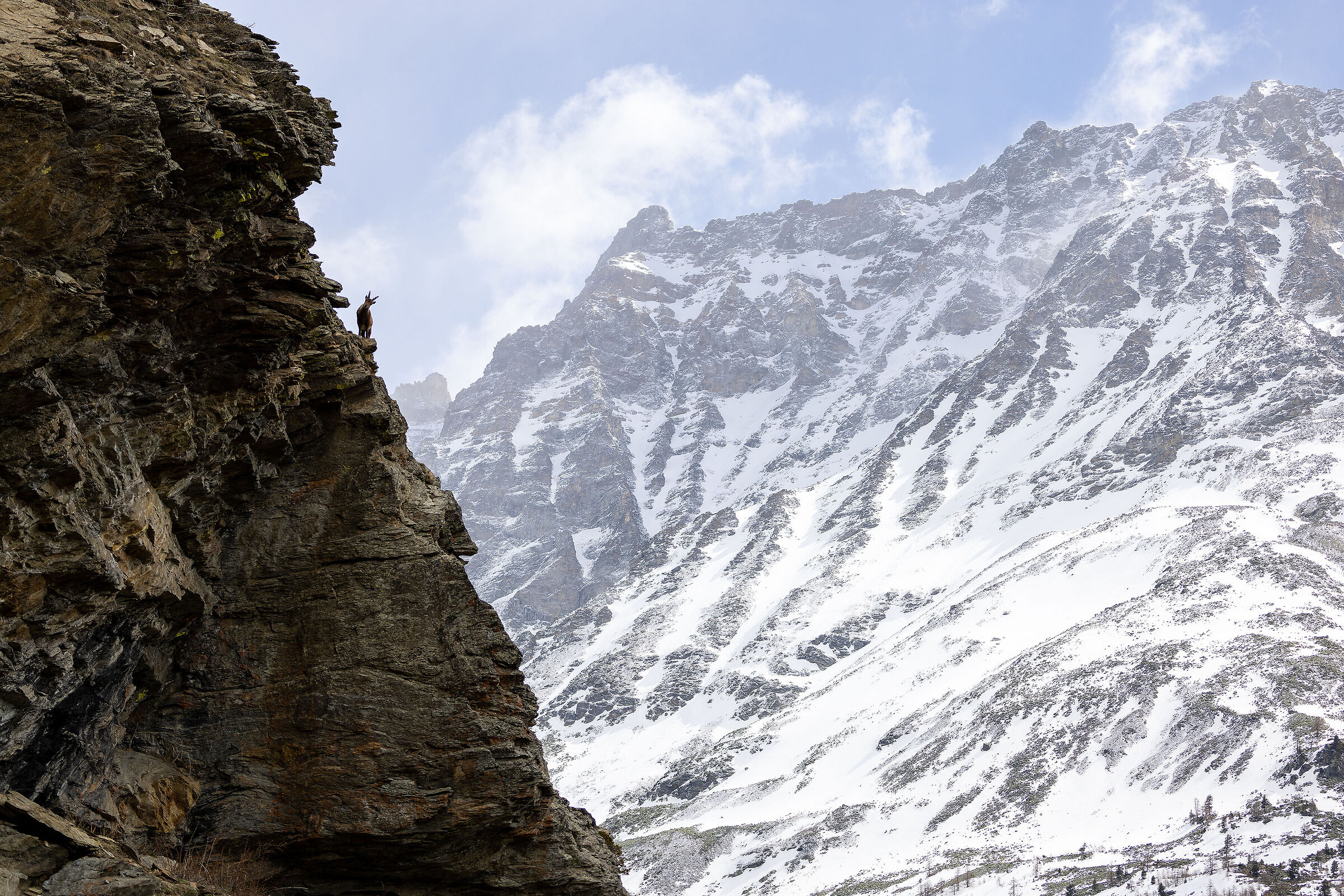 Questa casa è la mia casa