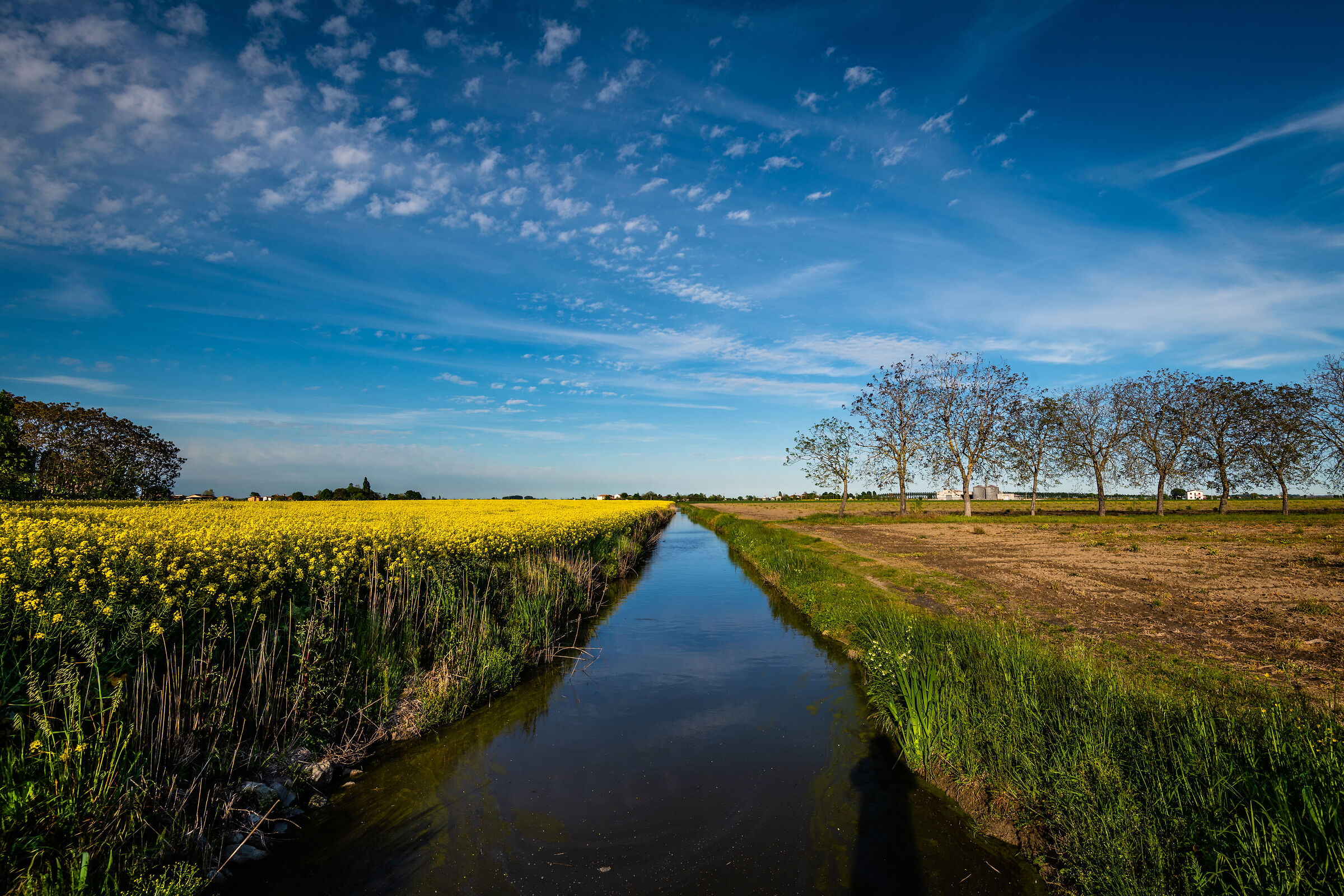 Buon 1° Maggio (con i colori della campagna)