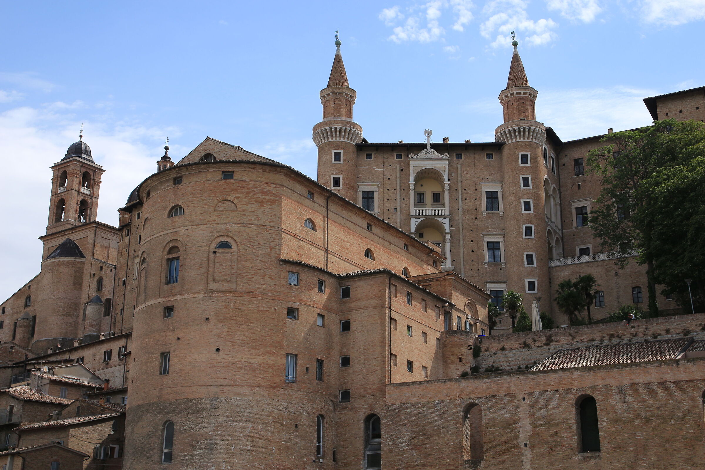 Urbino