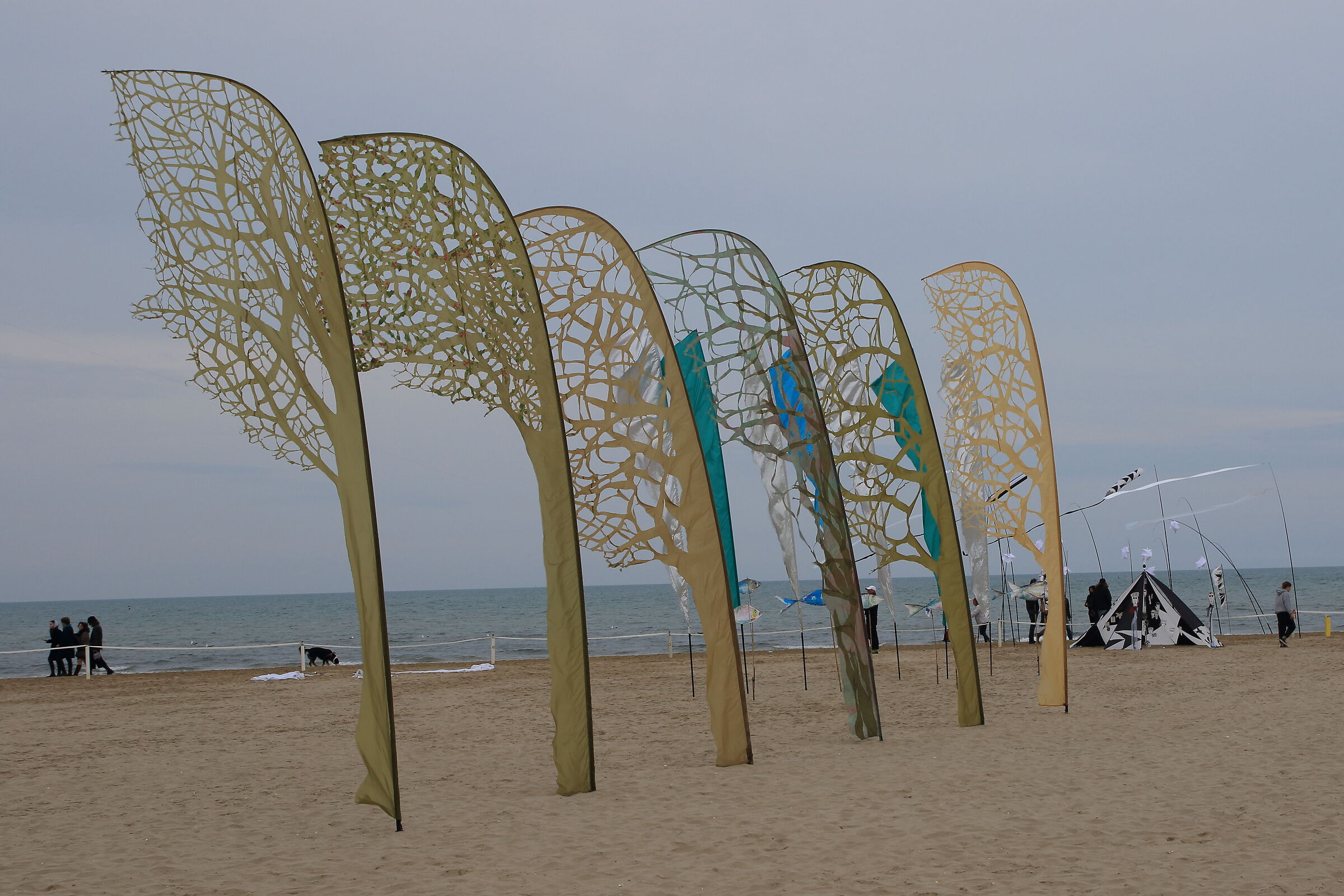 Trees in the wind