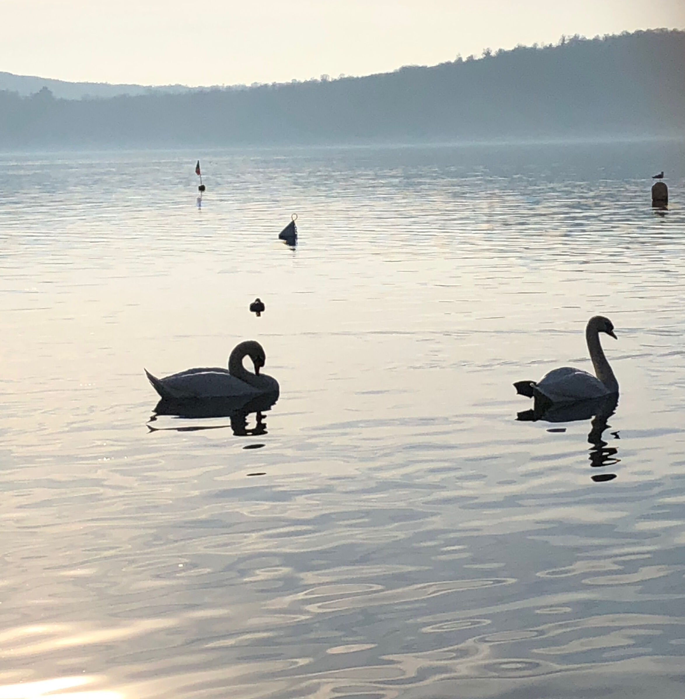 Lake Meugliano