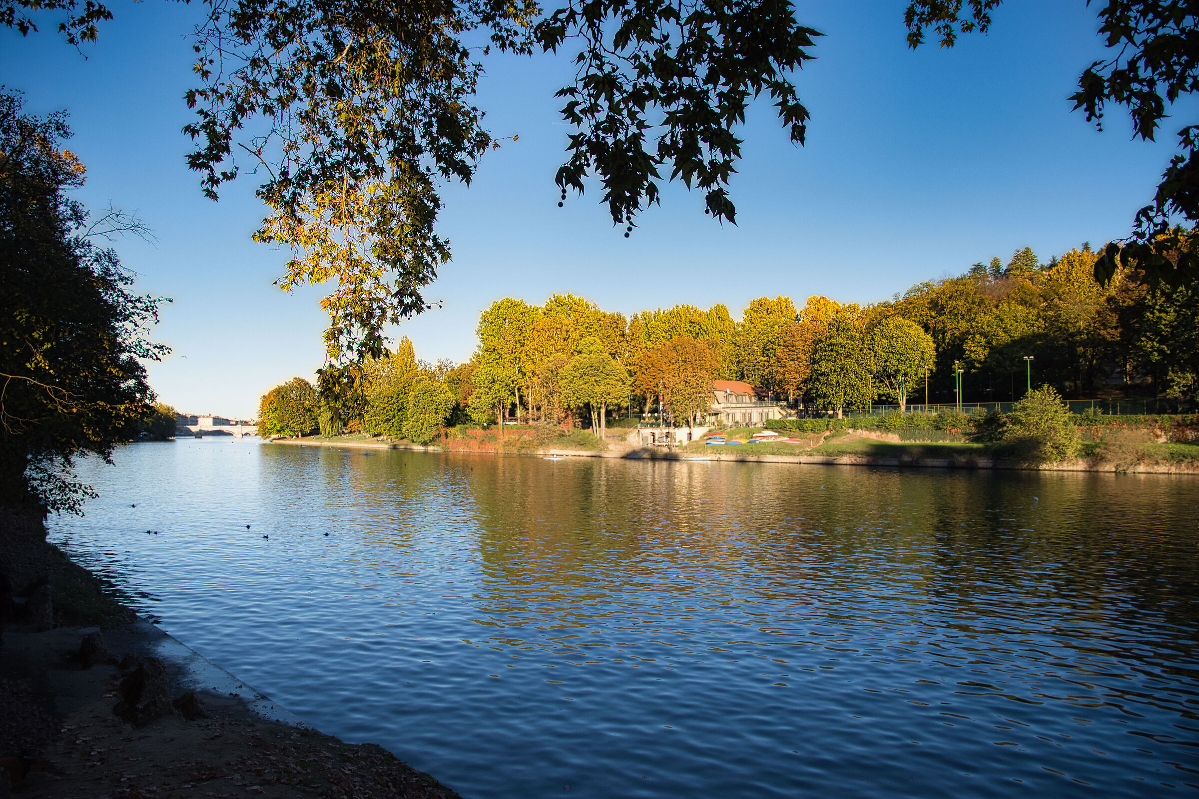 1_Parco of Valentino in Autumn
