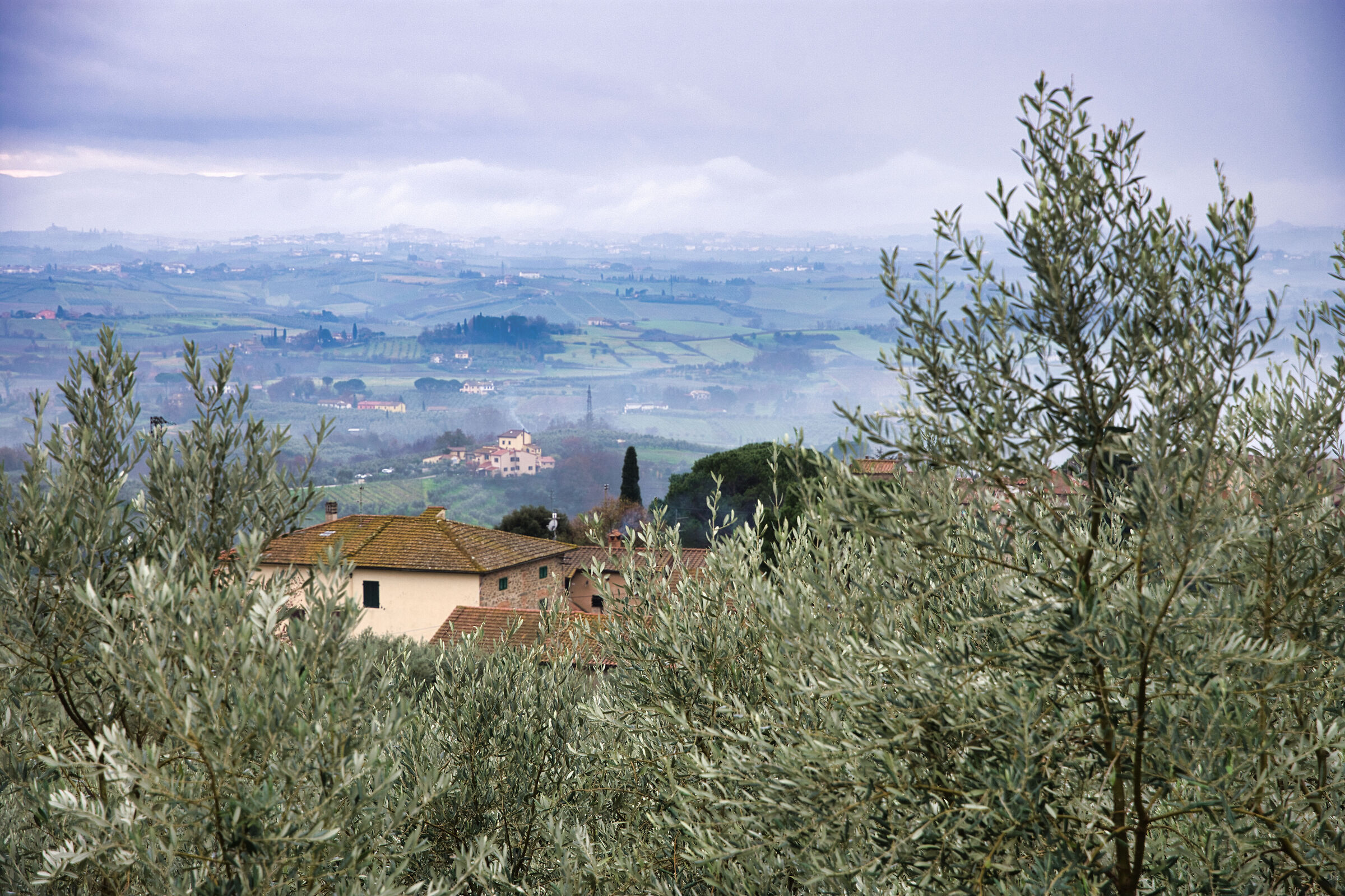 Tigliano (Italy)
