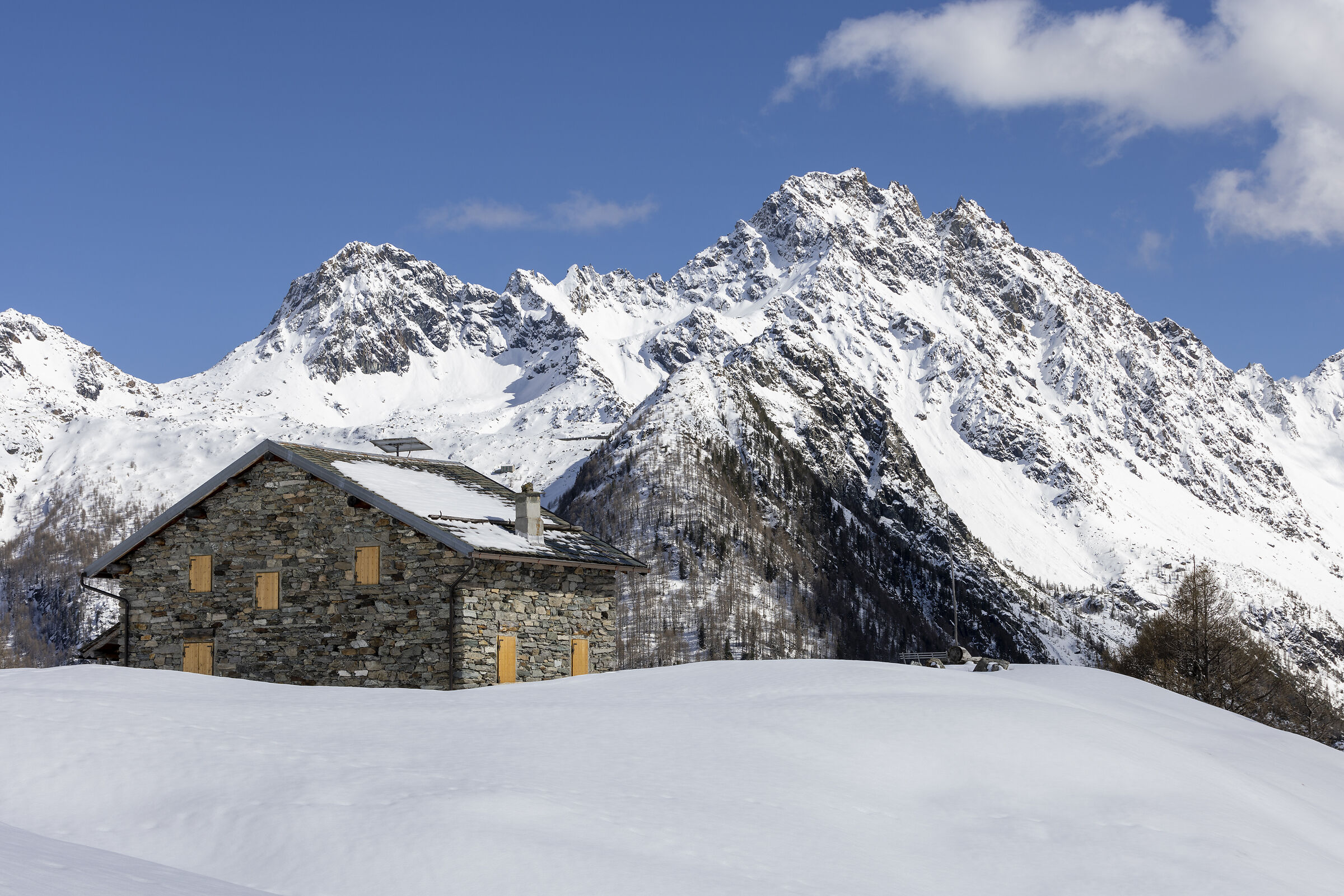 Alpe dell'oro