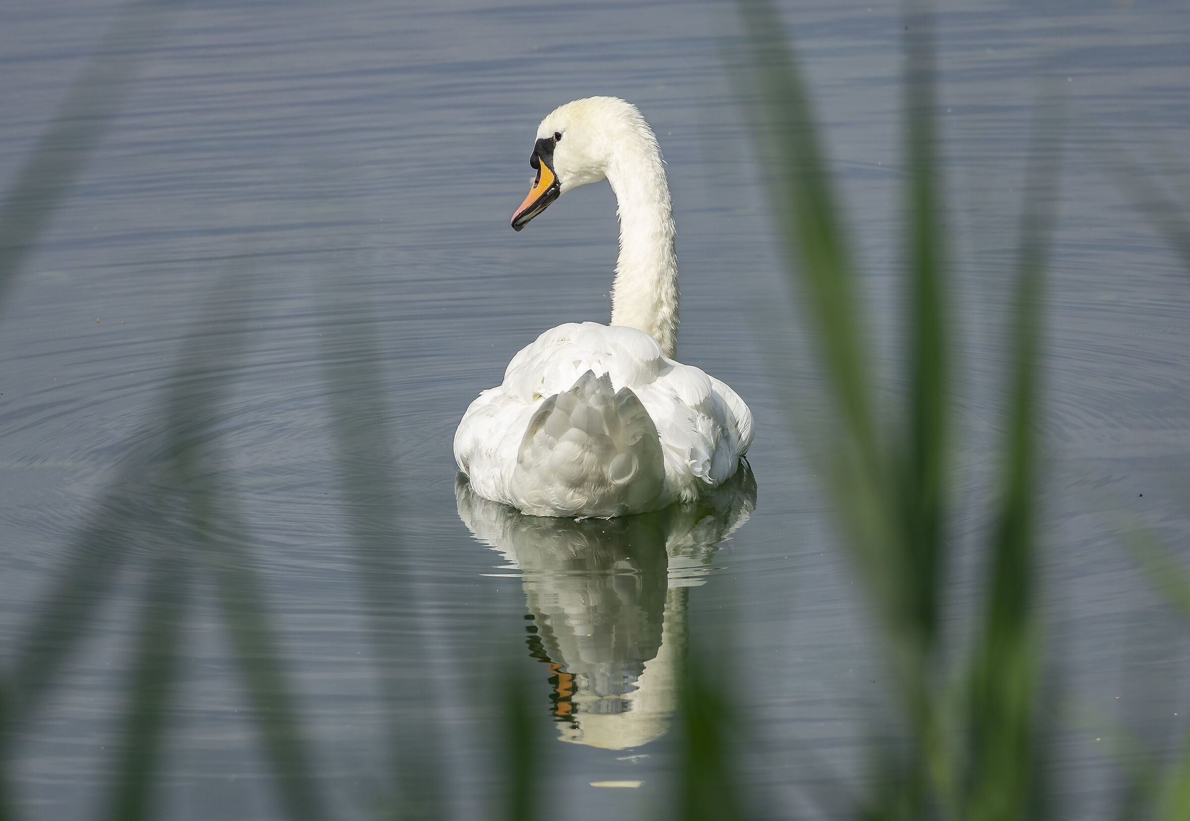 Sunday, 27 June 2021, 10:03:18