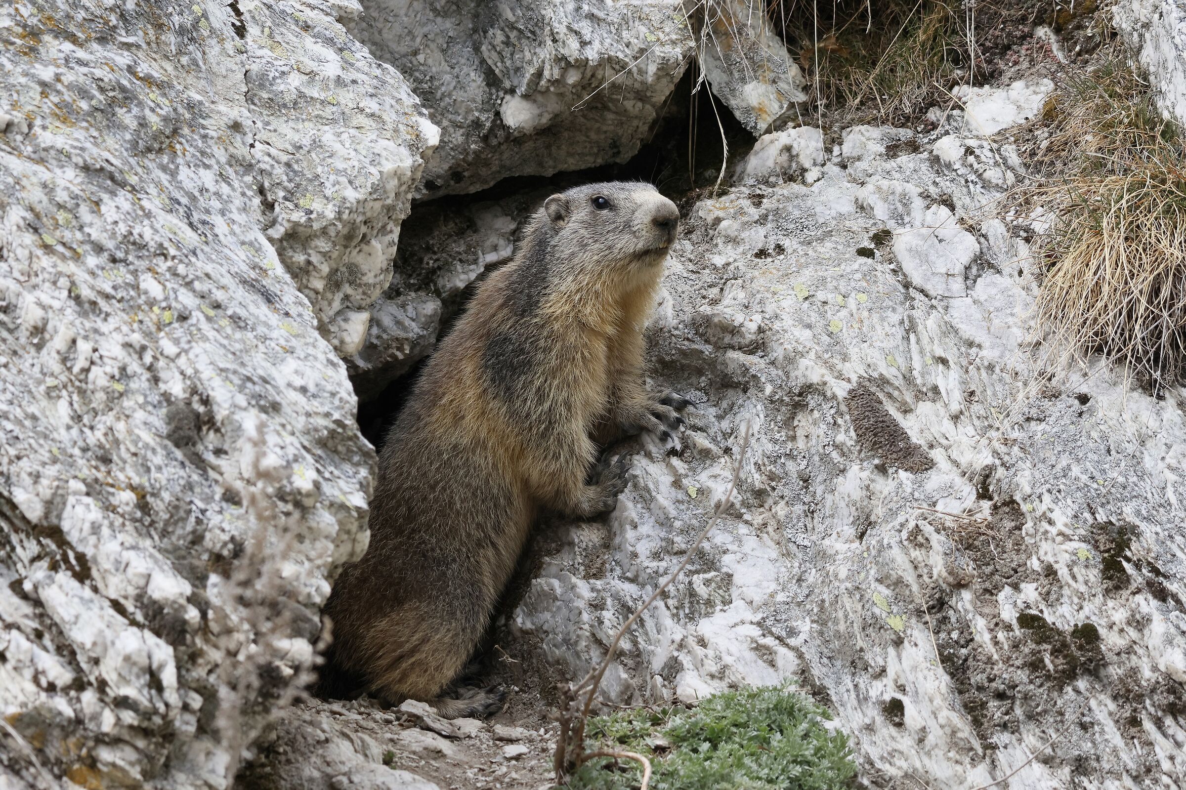 ... on the lookout for me.....
