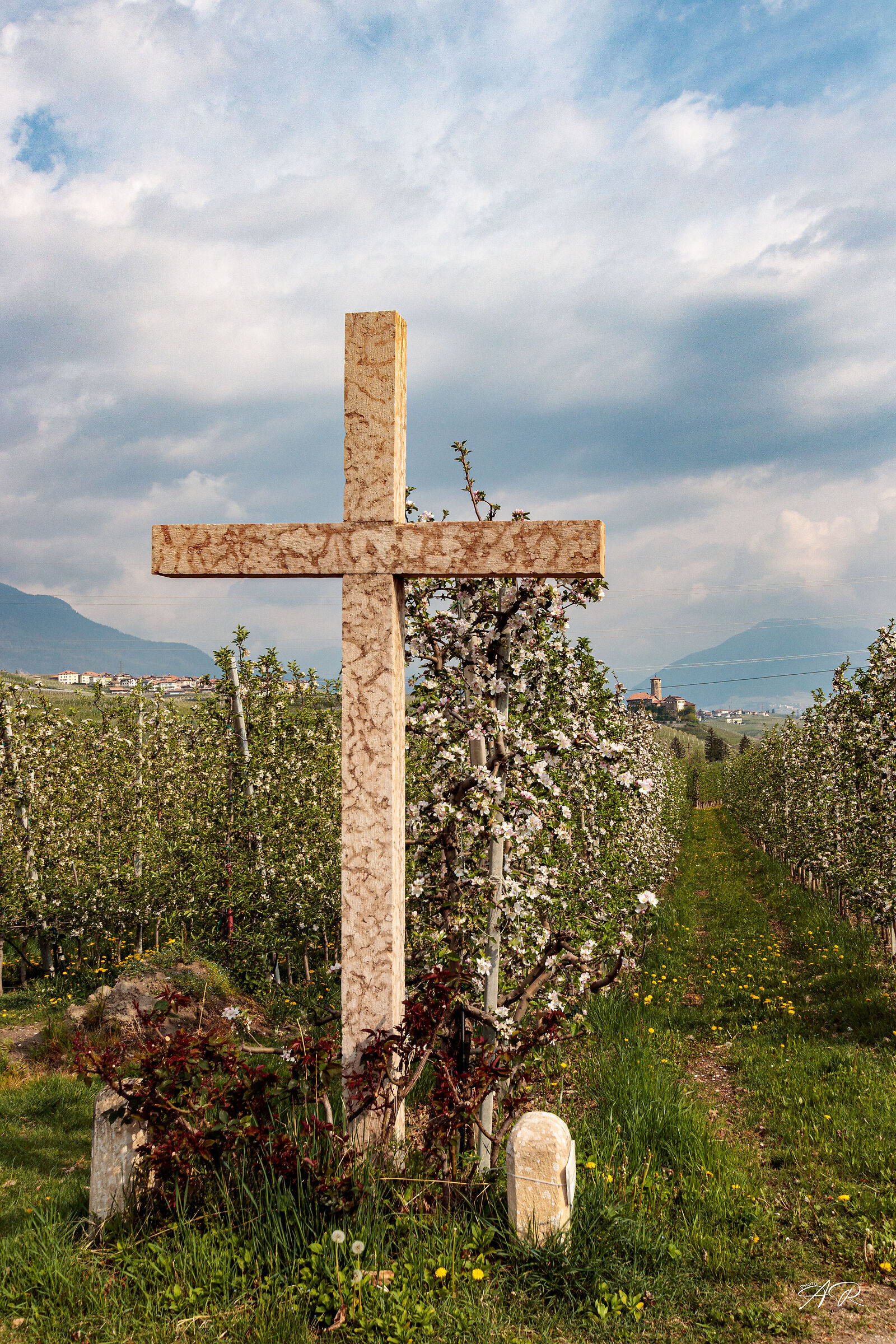 Fioritura Dei Meli 2023 Tassullo