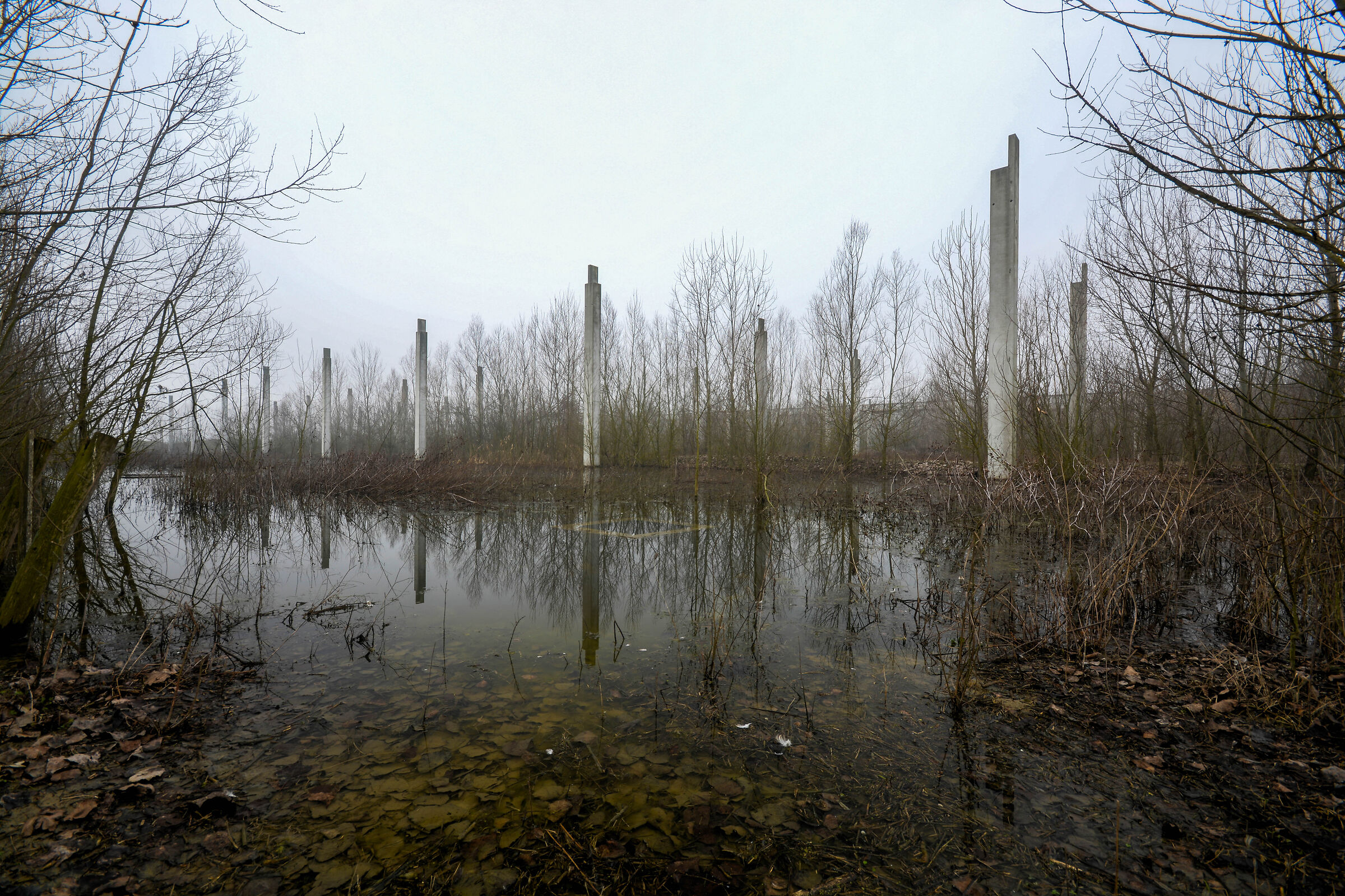 The pillars of degradation