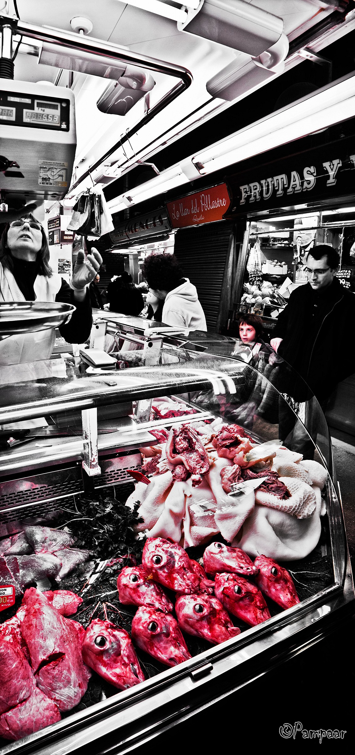 Little Lamb who made thee?