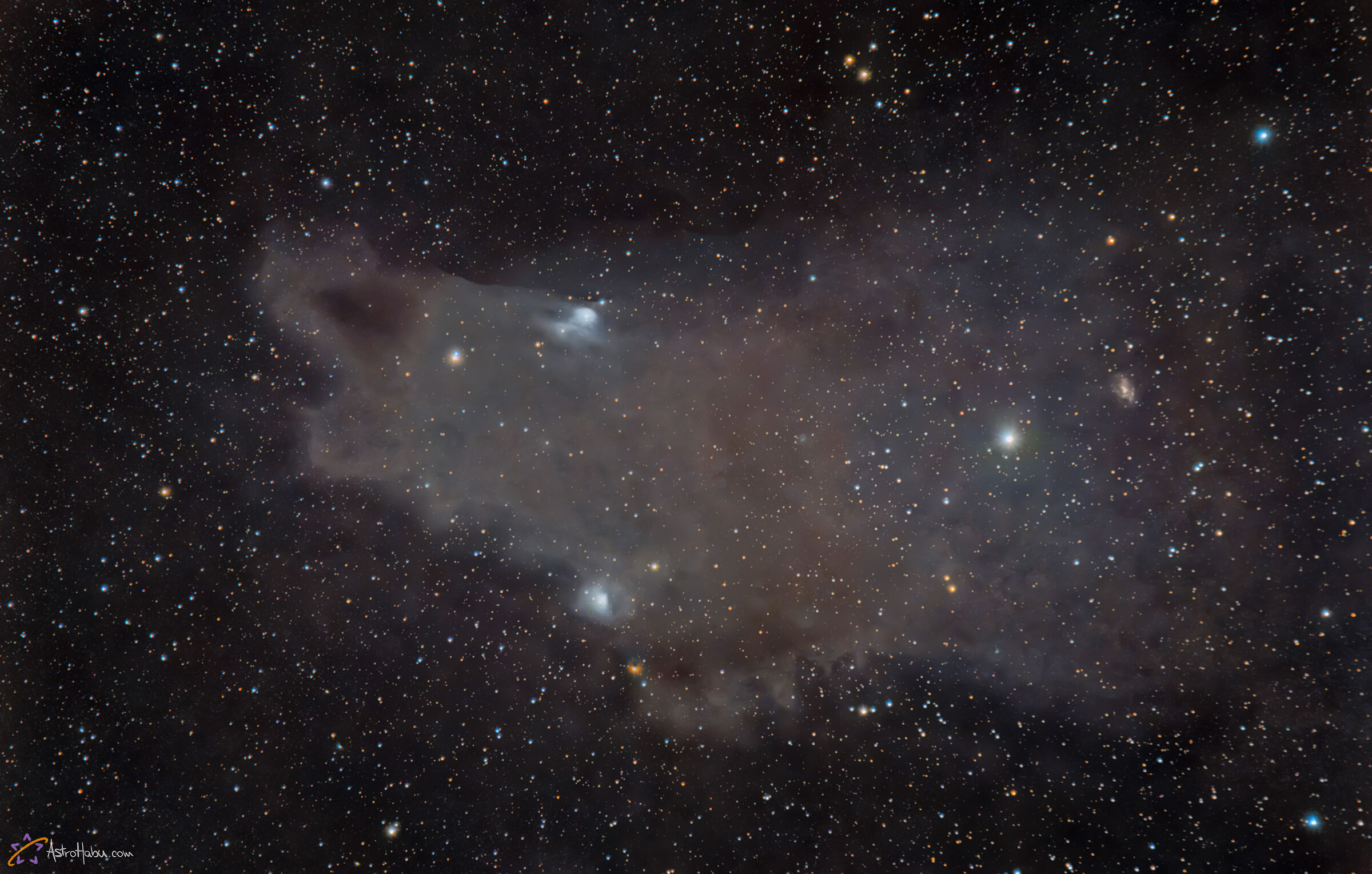 Dark Shark nebula