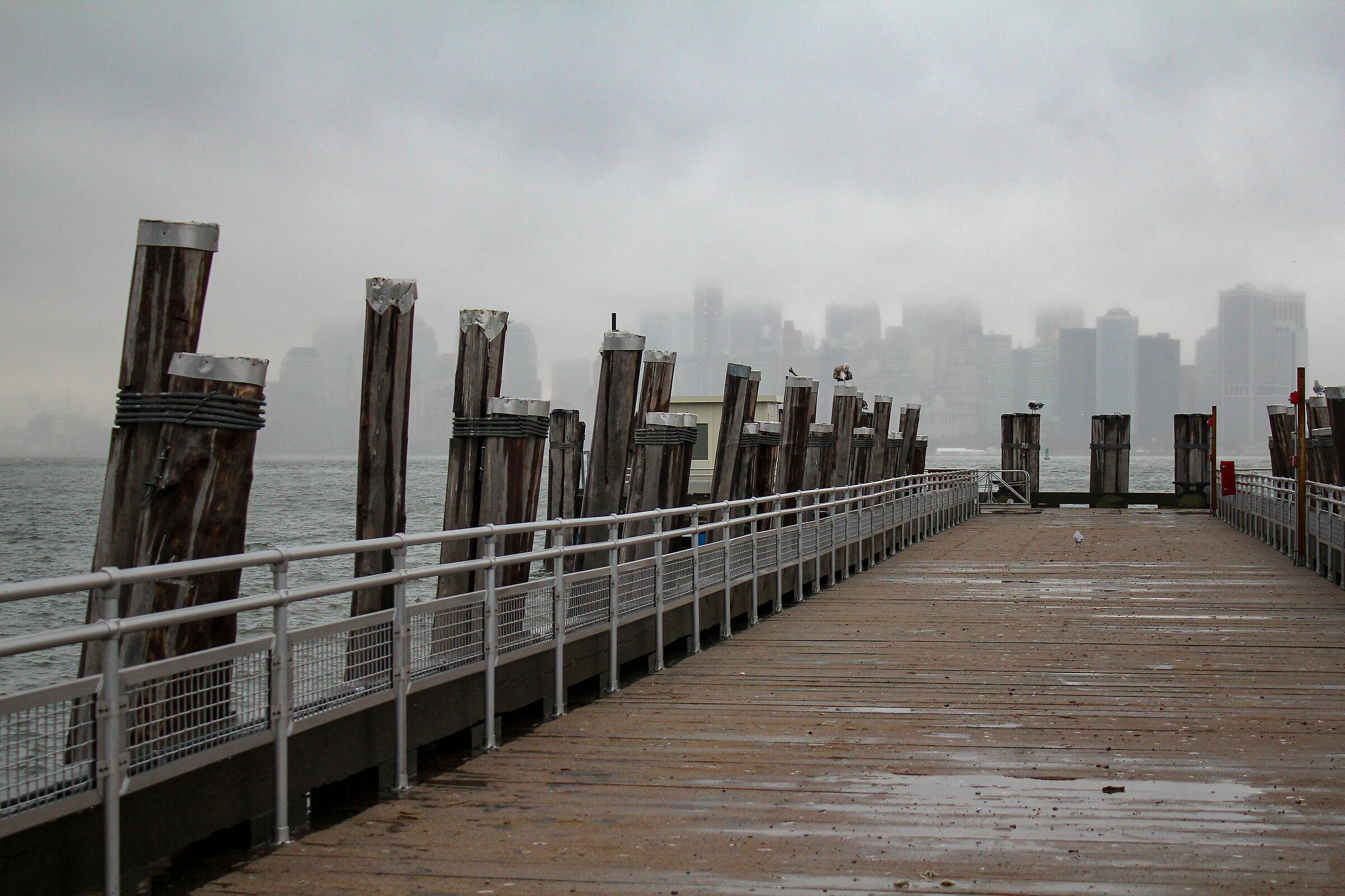 Misty New York Morning