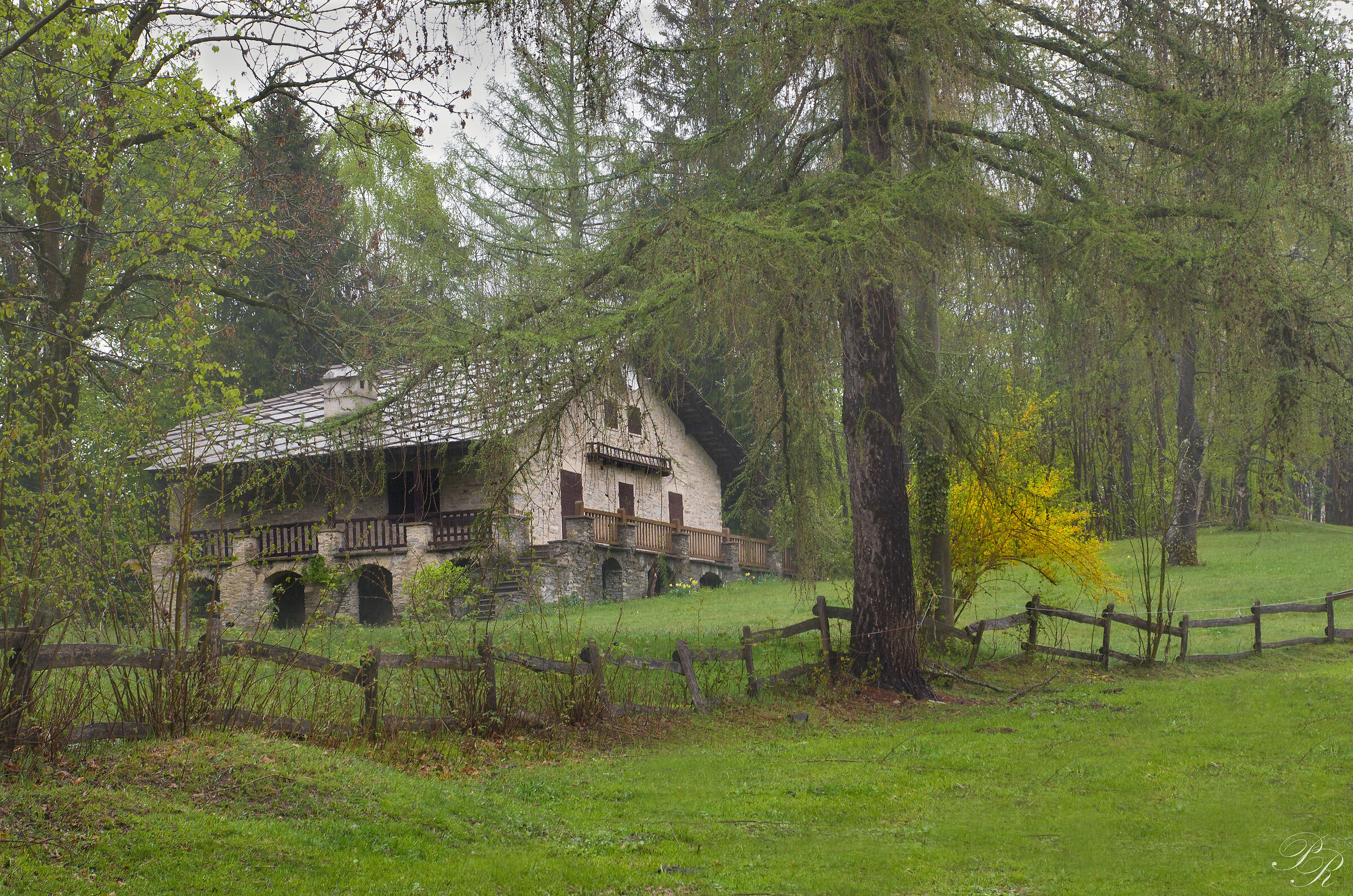 Scendeva una lieve pioggia