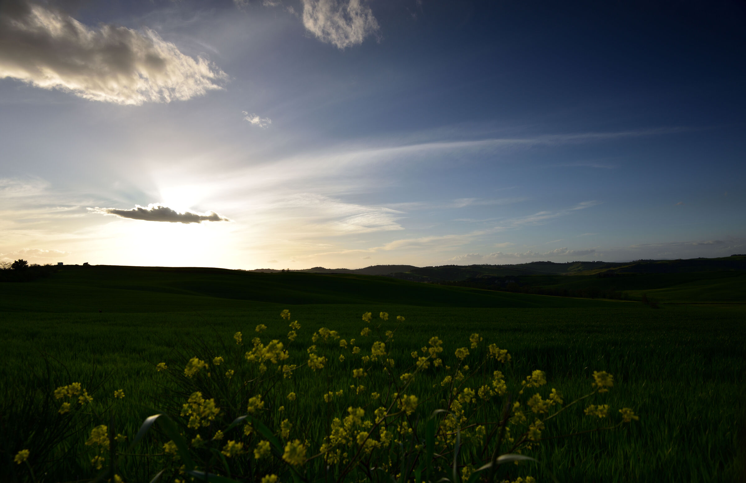 Val D'Orcia