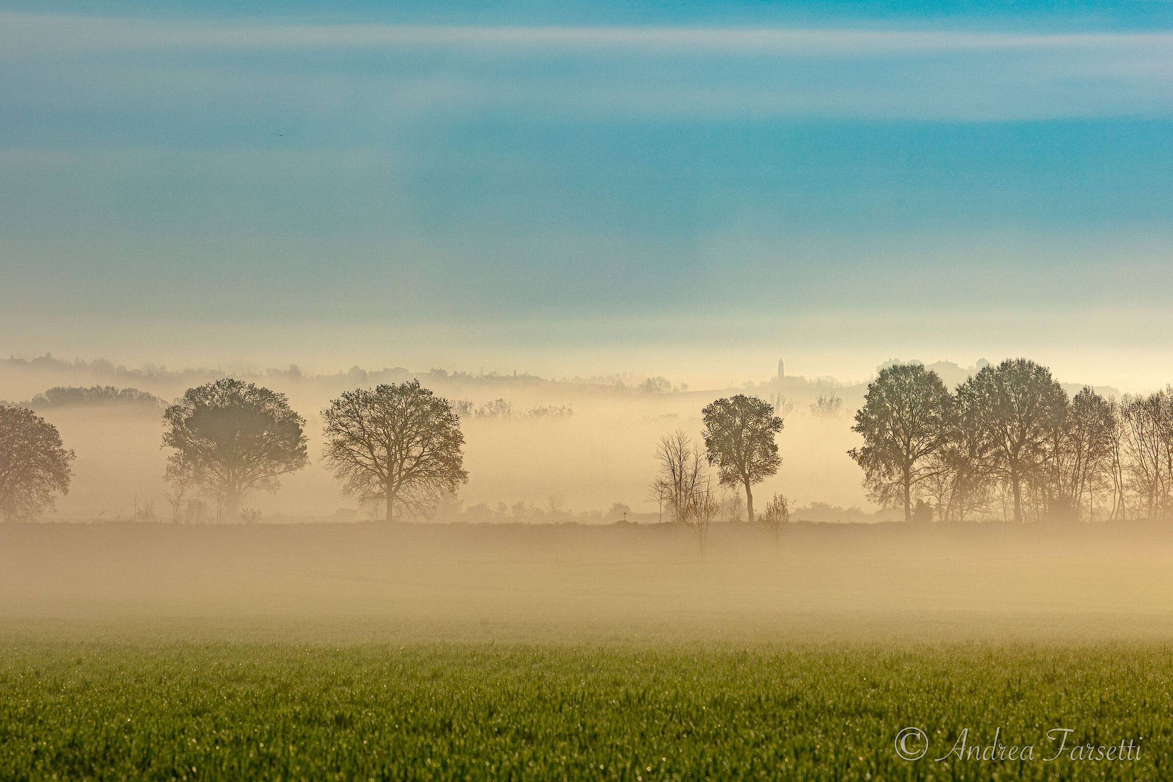 Saturday Morning