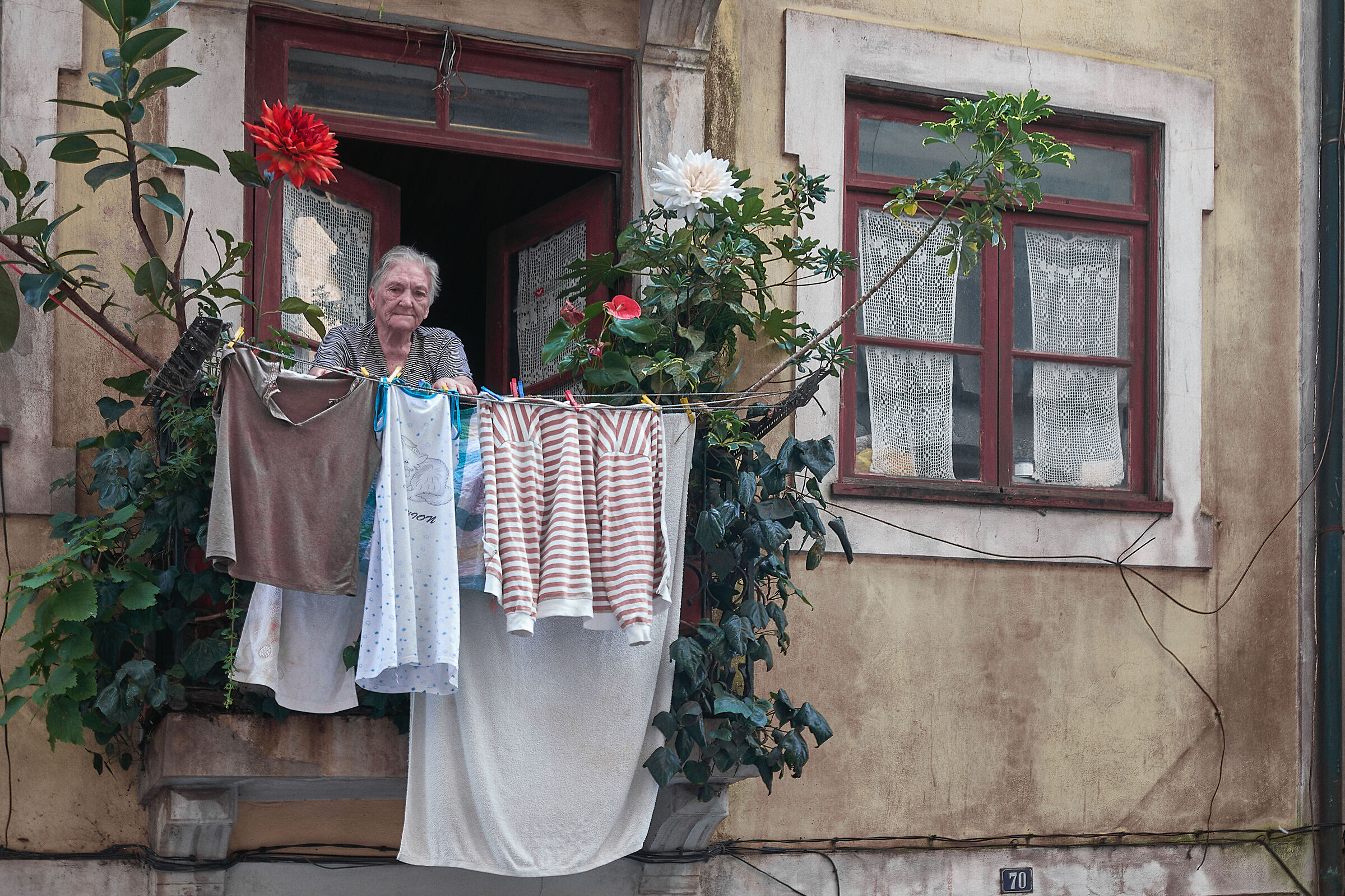 Flowers and hanging clothes
