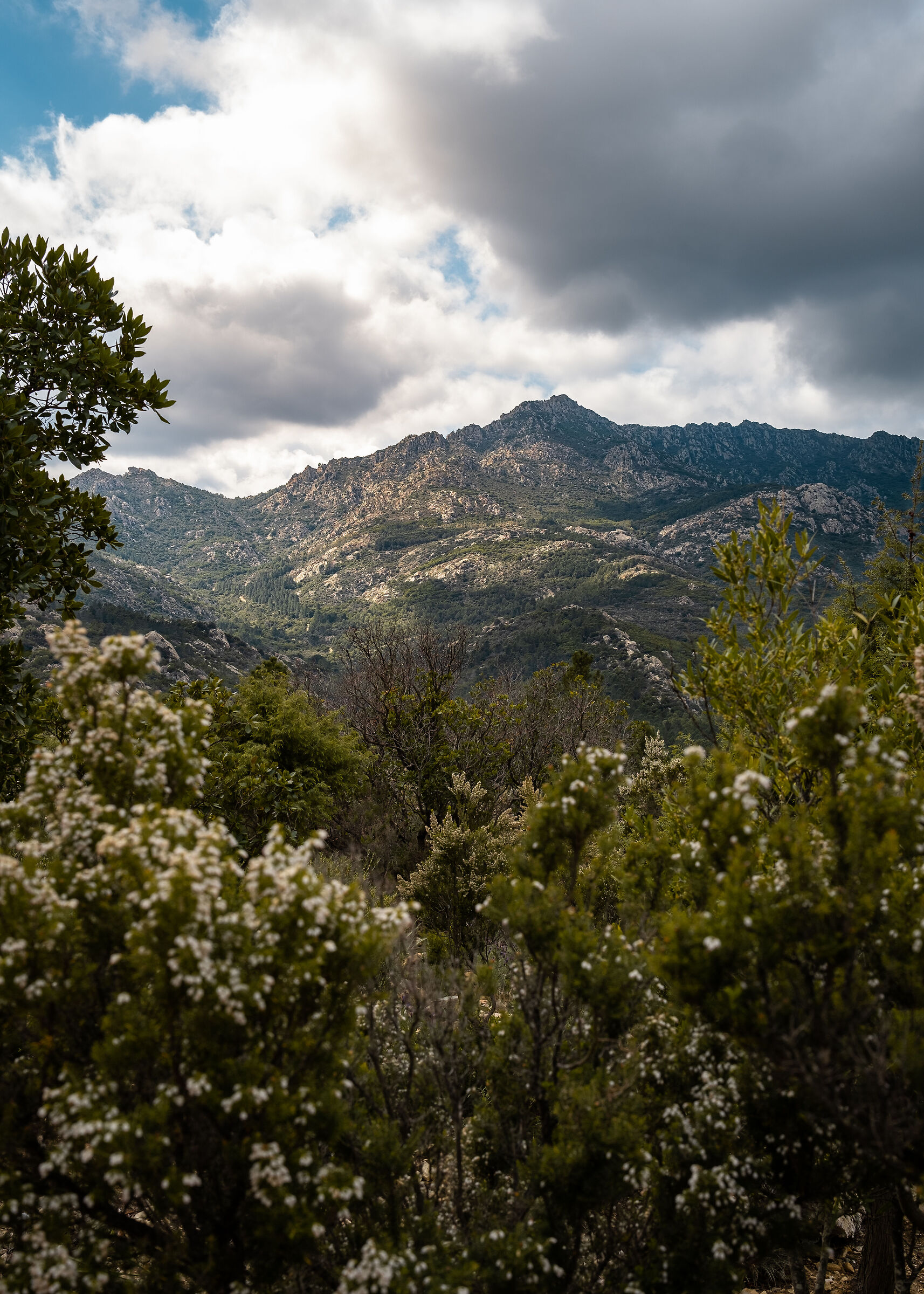 Sardinia is out of time and history