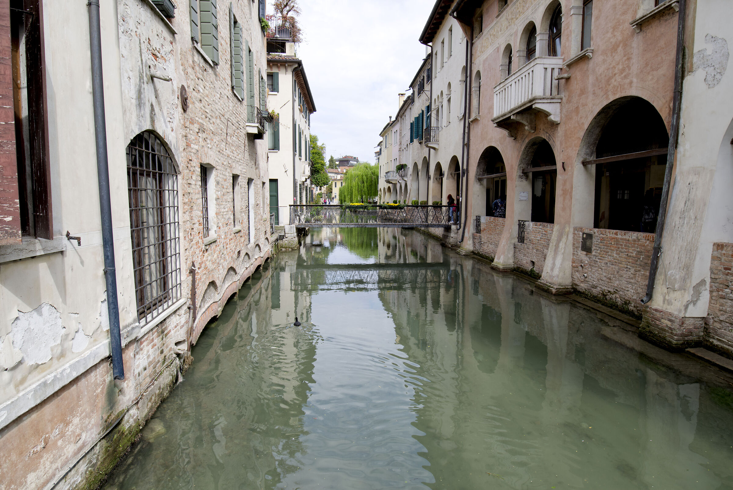 Treviso2