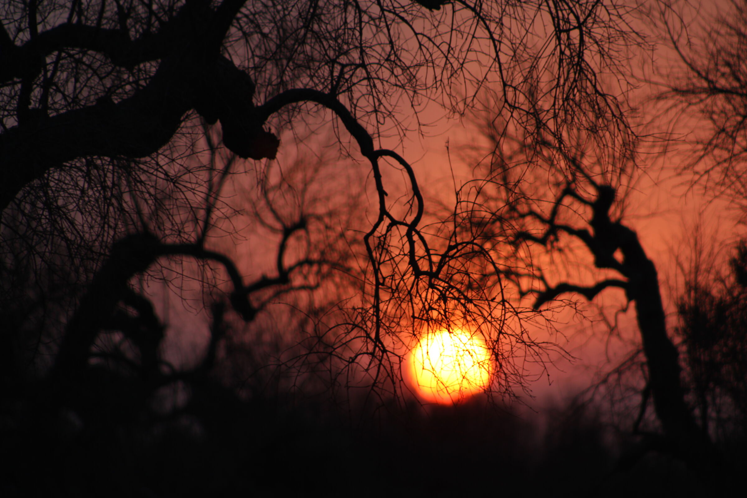Il sole intrappolato