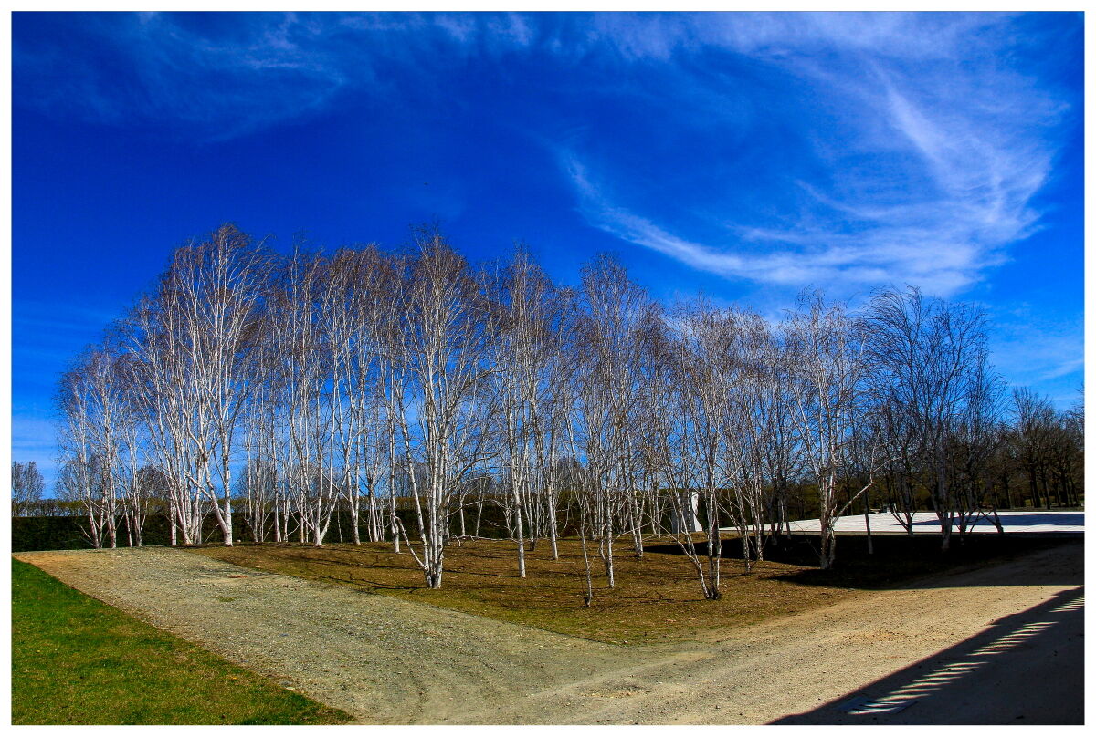 Venaria Reale (to) 2023